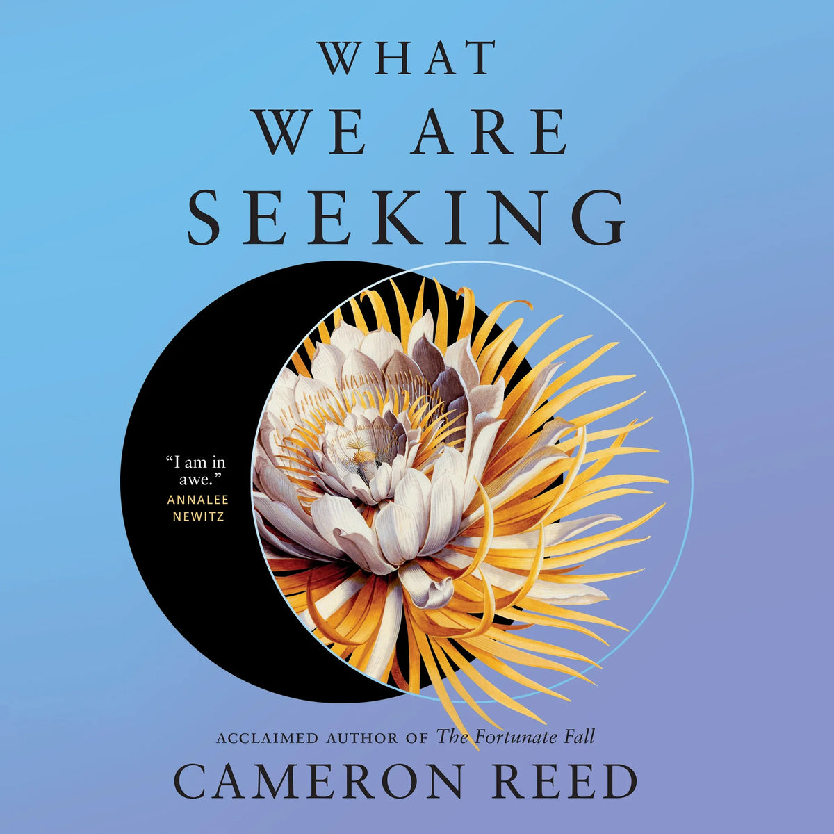 What We Are Seeking