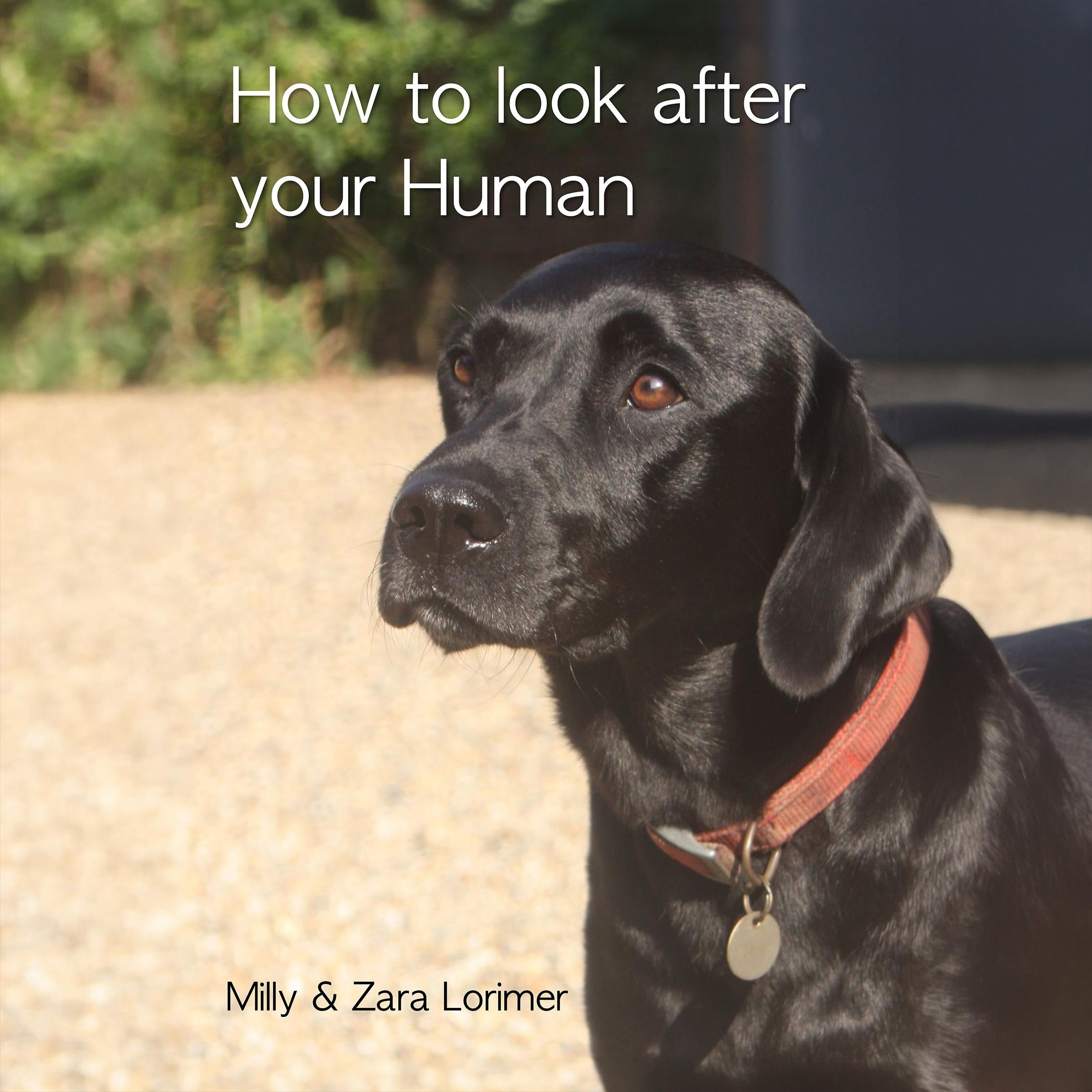 How to Look After Your Human