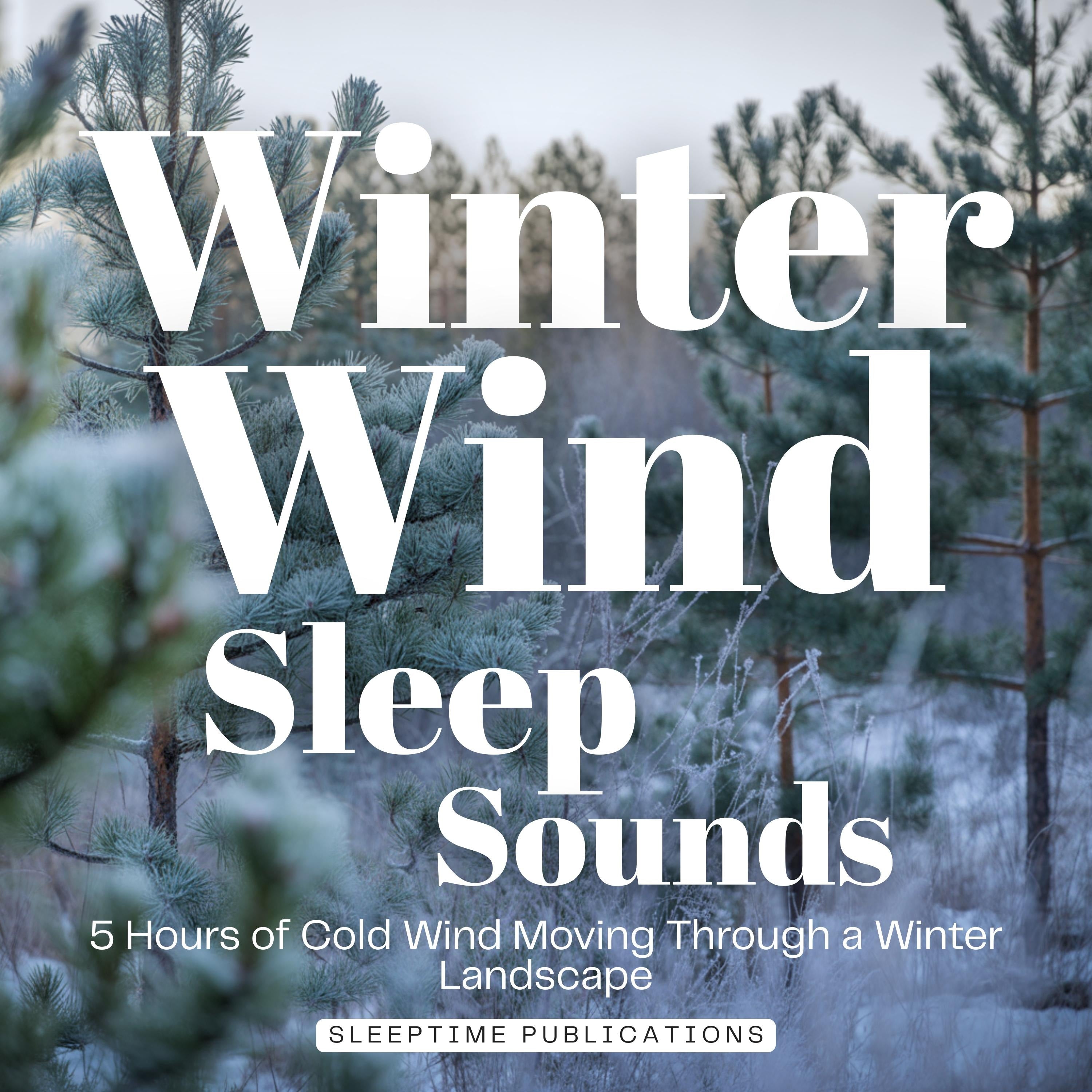 Winter Wind Sleep Sounds