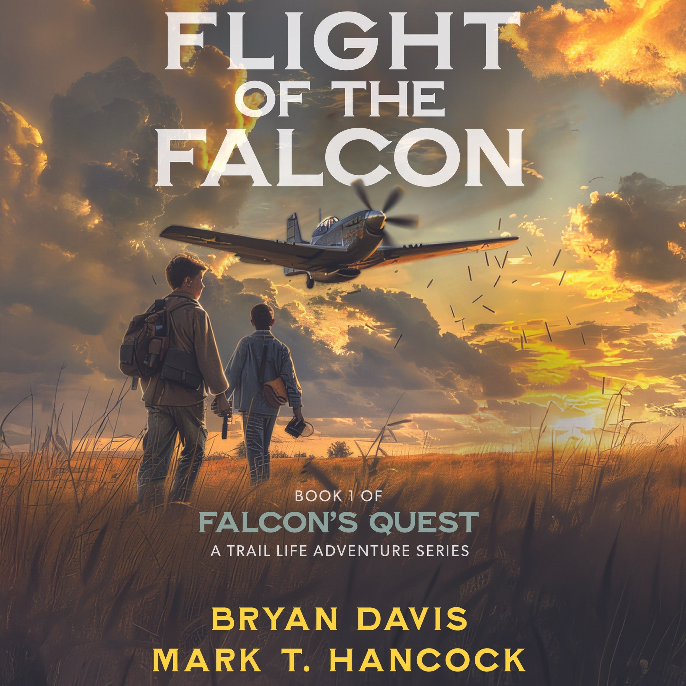 Flight of the Falcon