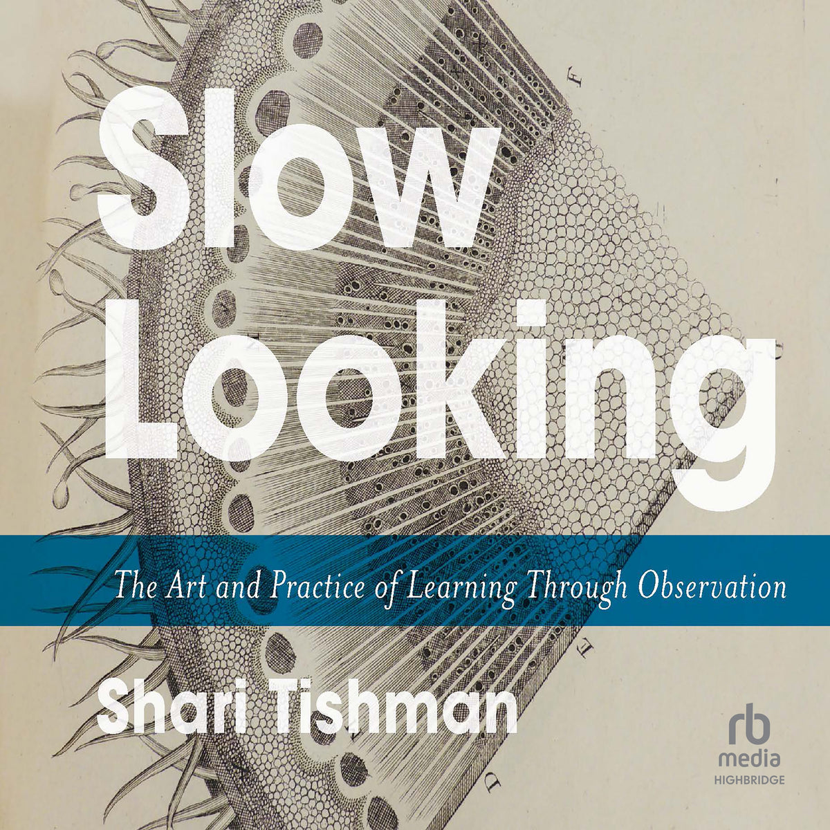 Slow Looking