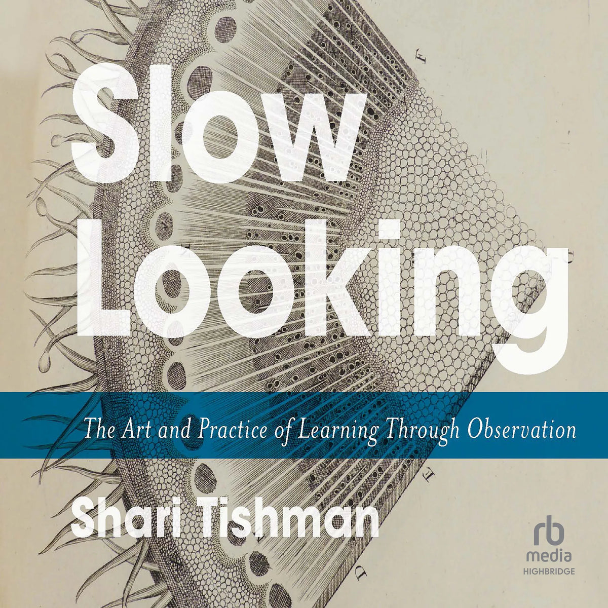 Slow Looking
