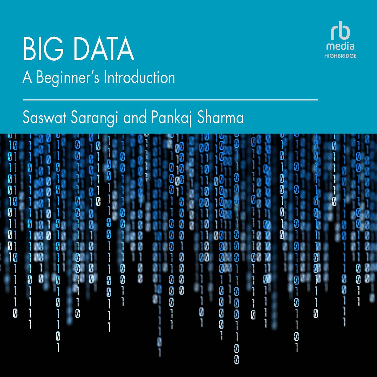Big Data