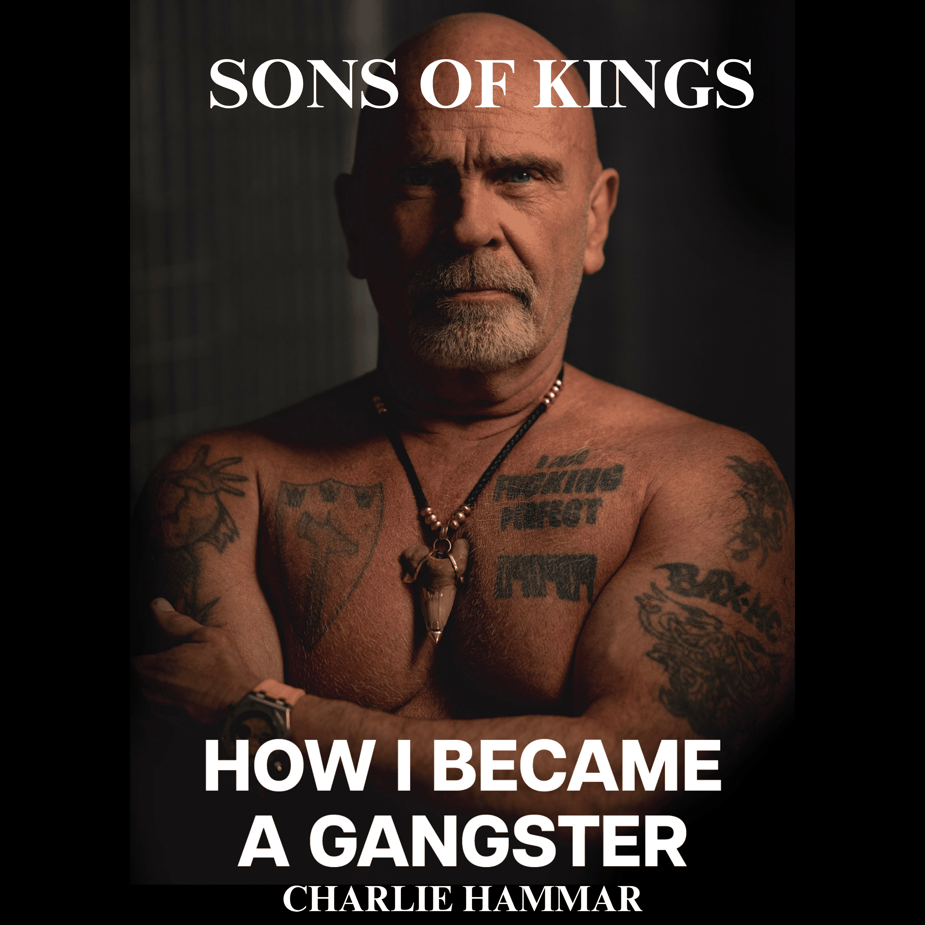 How I became a Gangster