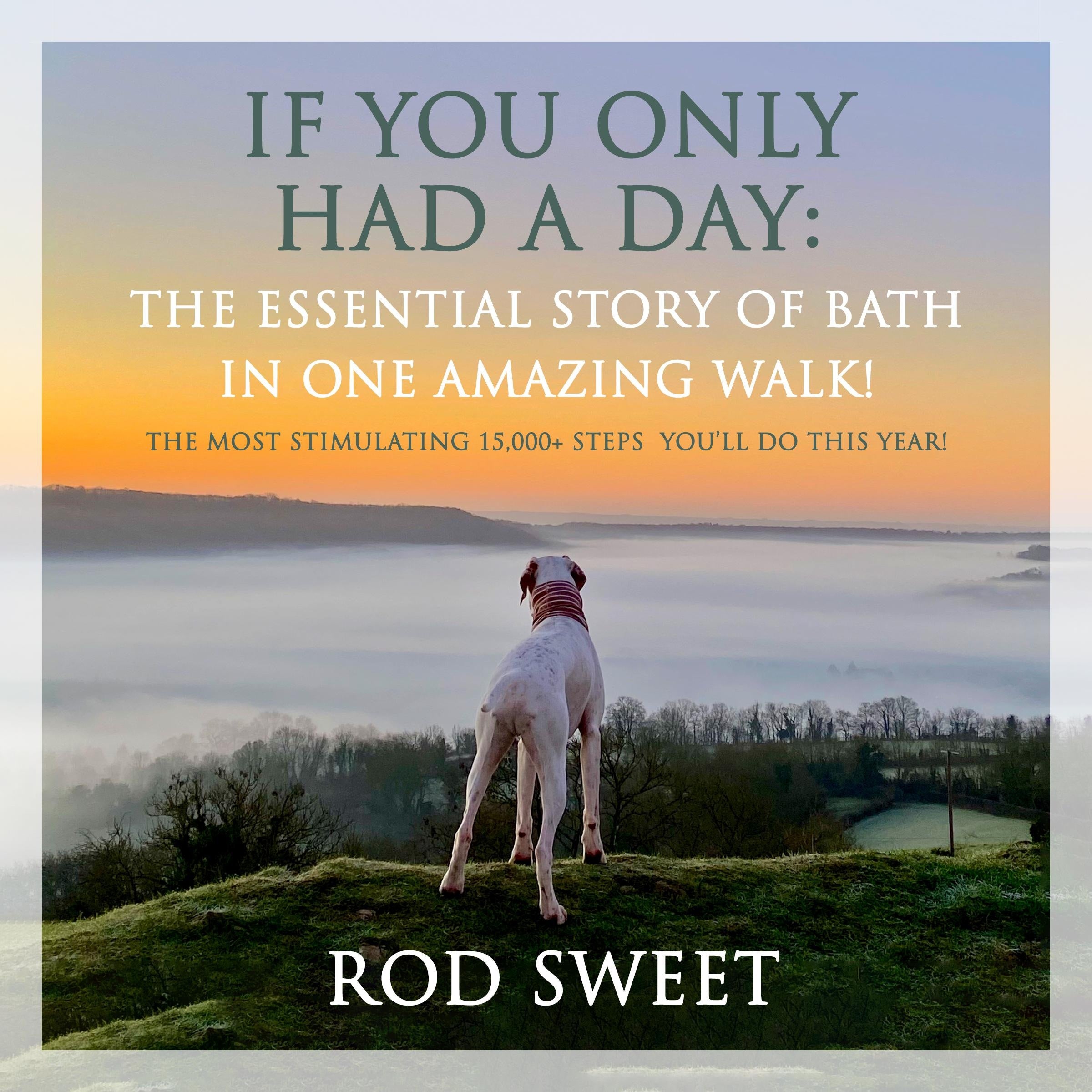 If You Only Had a Day: The Essential Story of Bath In One Amazing Walk