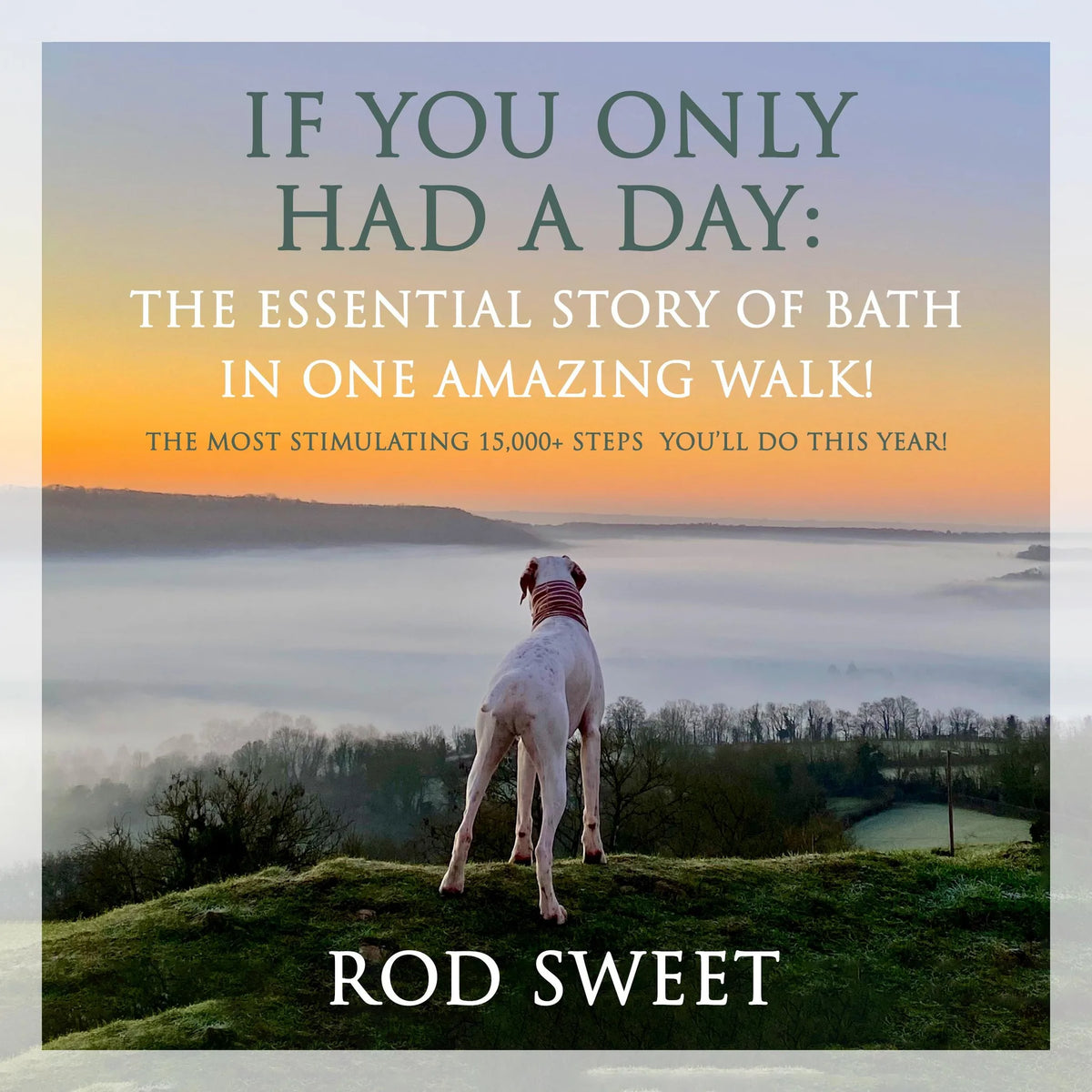 If You Only Had a Day: The Essential Story of Bath In One Amazing Walk