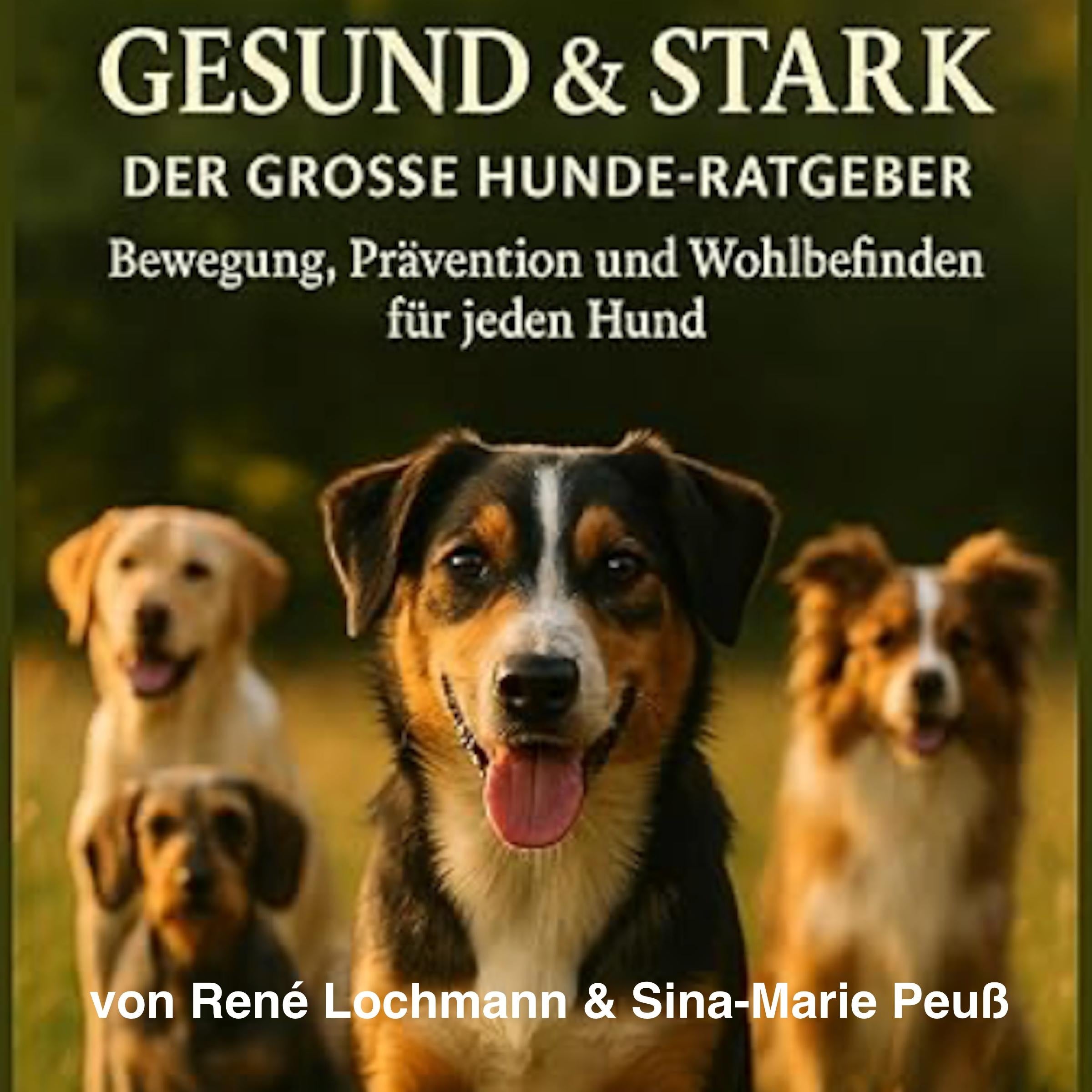 GESUND & STARK: Der große Hunde-Ratgeber für Bewegung, Prävention und Wohlbefinden