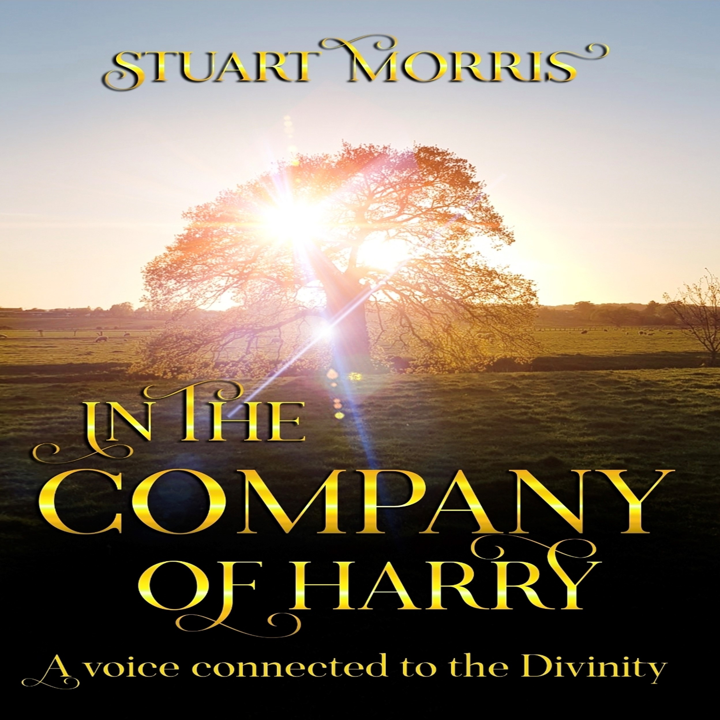 In the company of Harry