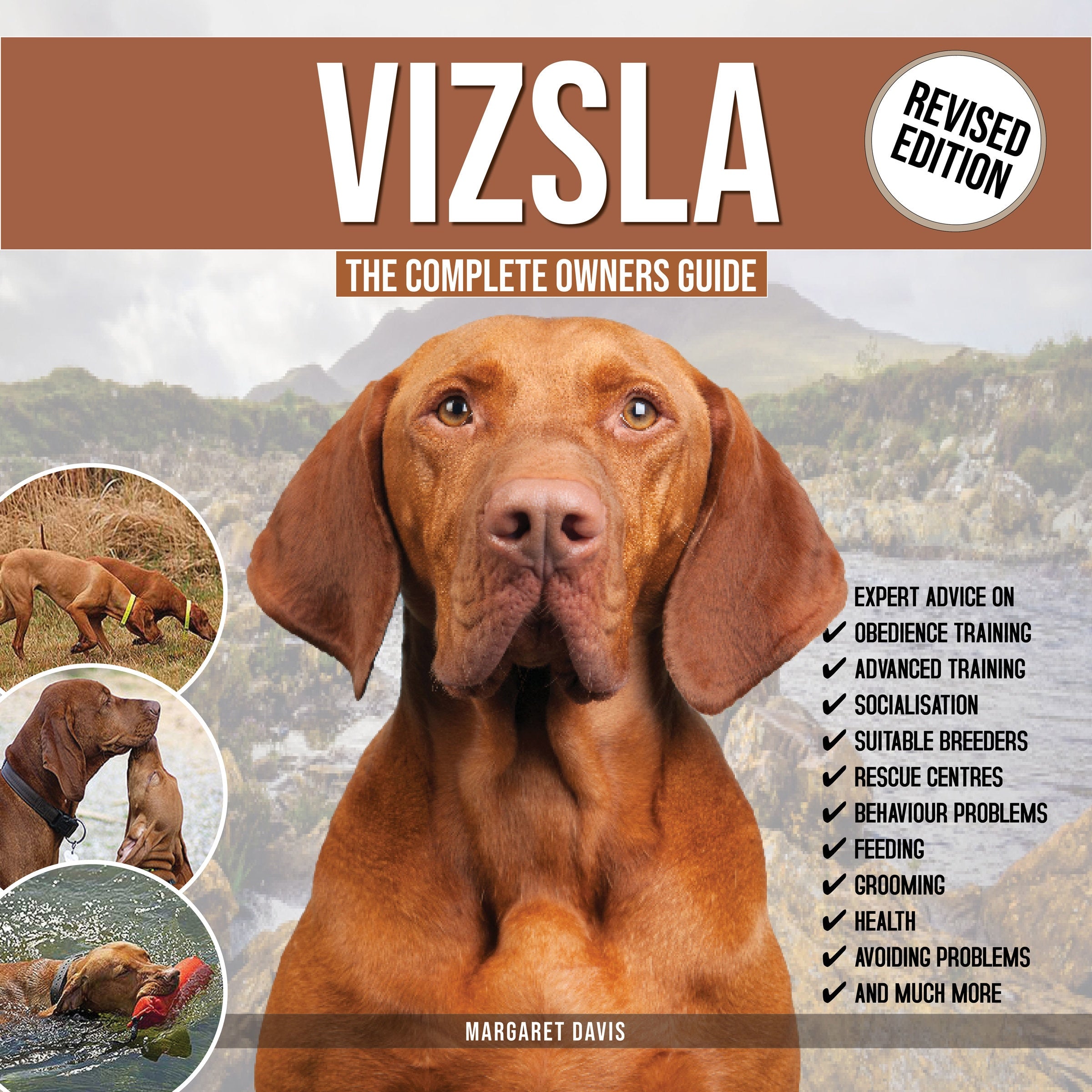 VIZSLA: