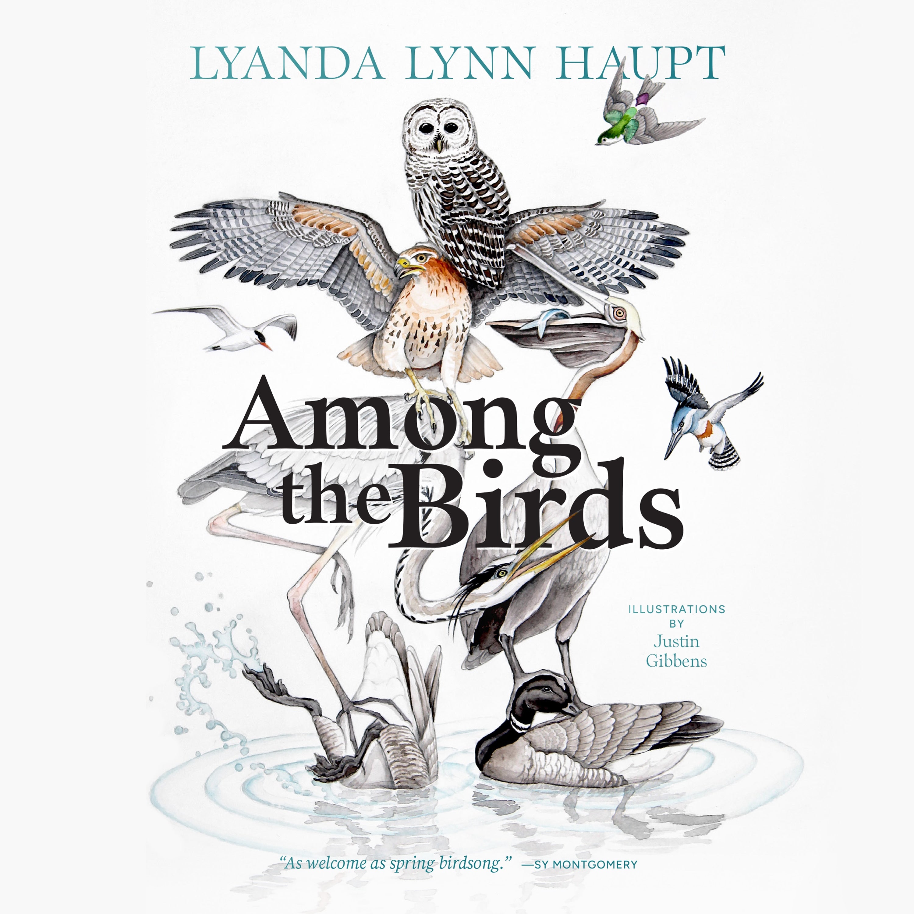 Among the Birds
