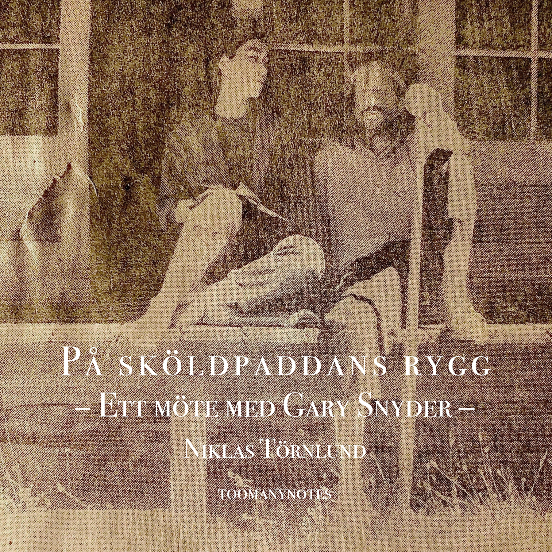 På sköldpaddans rygg