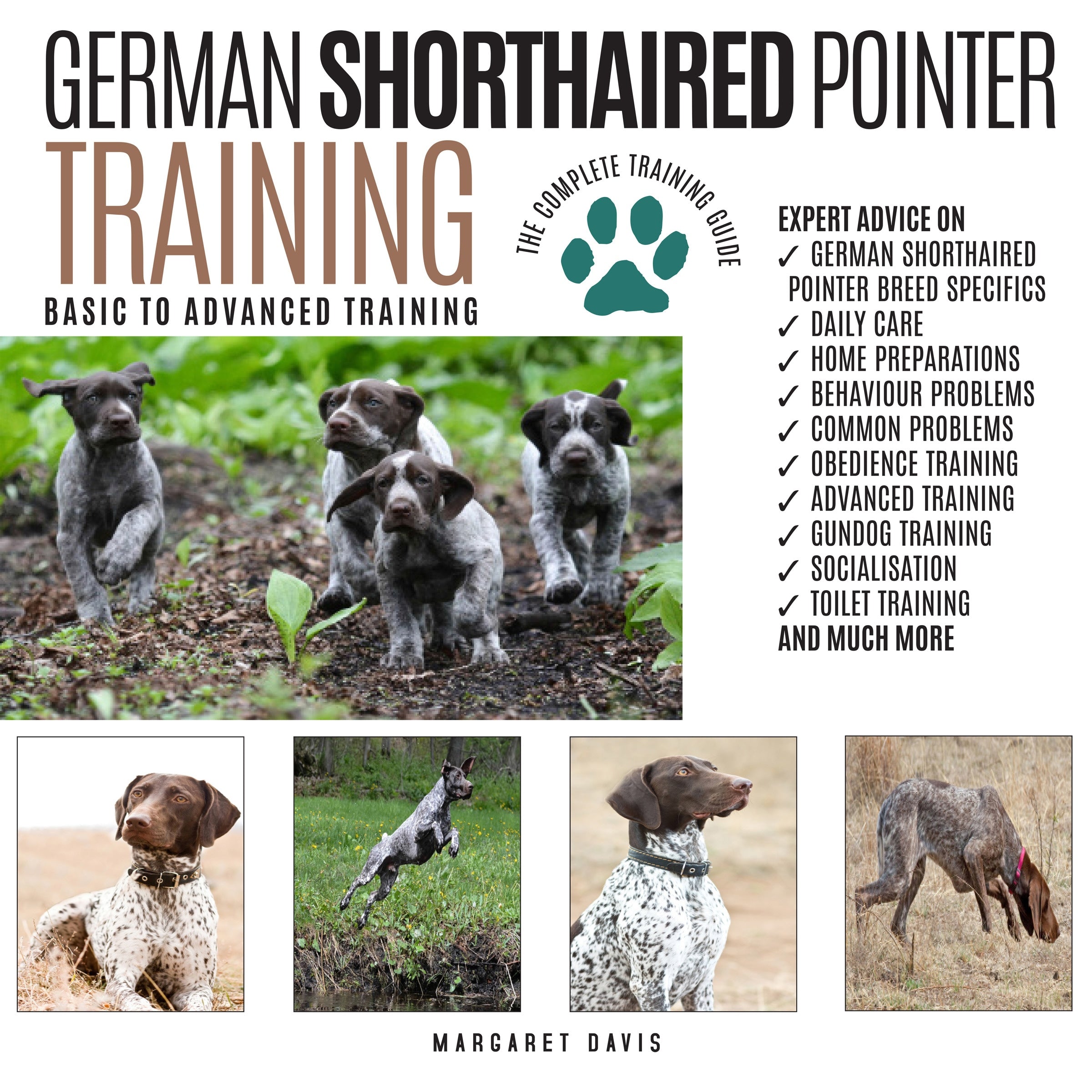 GERMAN SHORTHAIRED POINTER TRAINING: