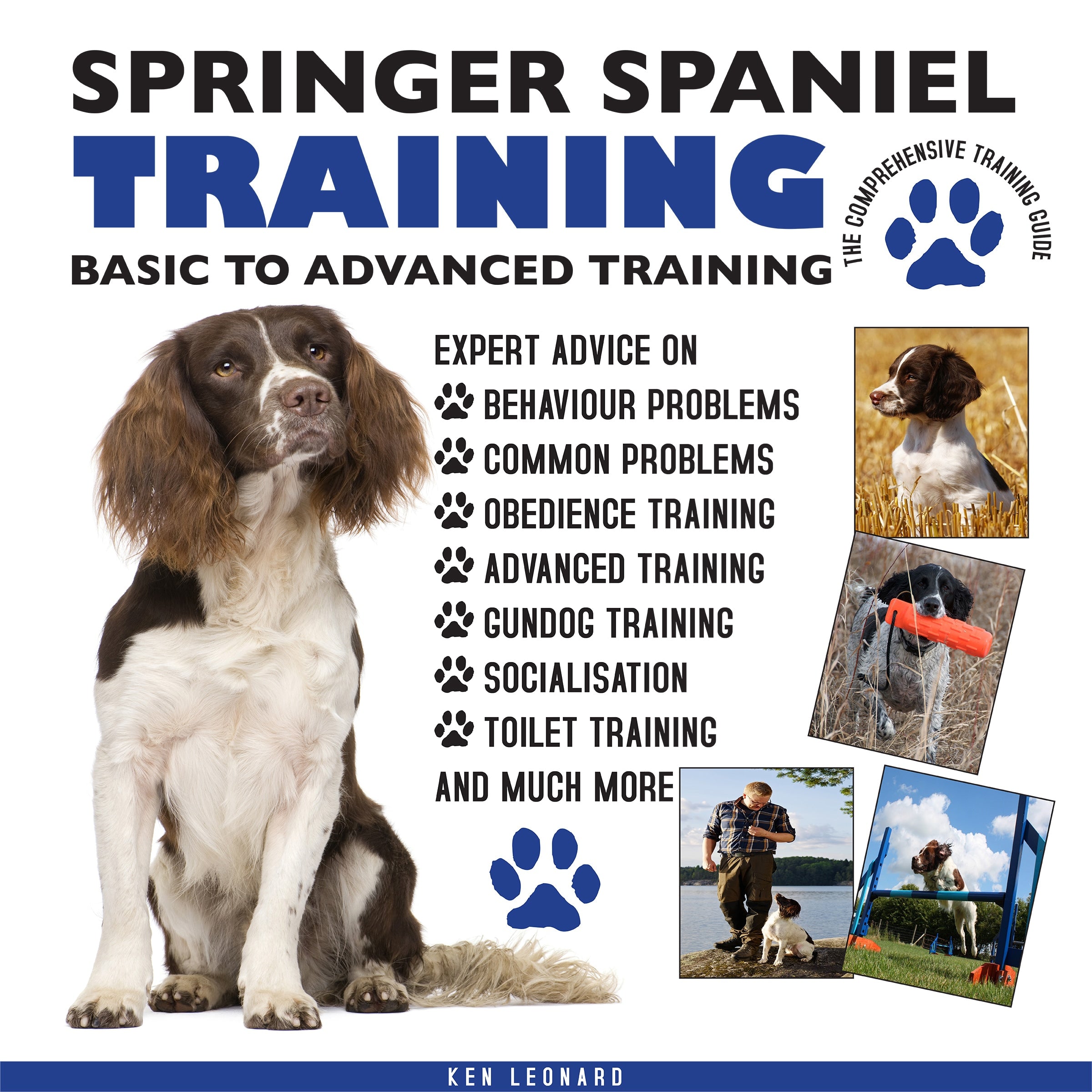 SPRINGER SPANIEL TRAINING: