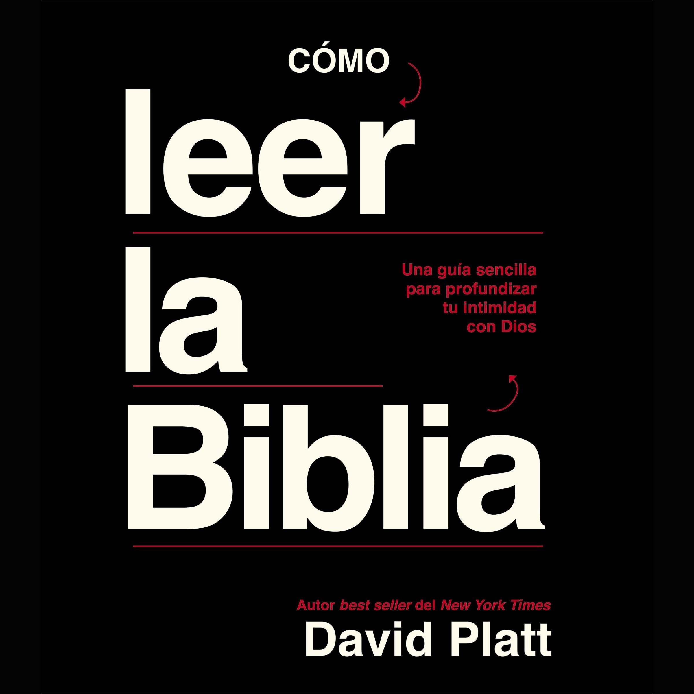 Cómo Leer la Biblia