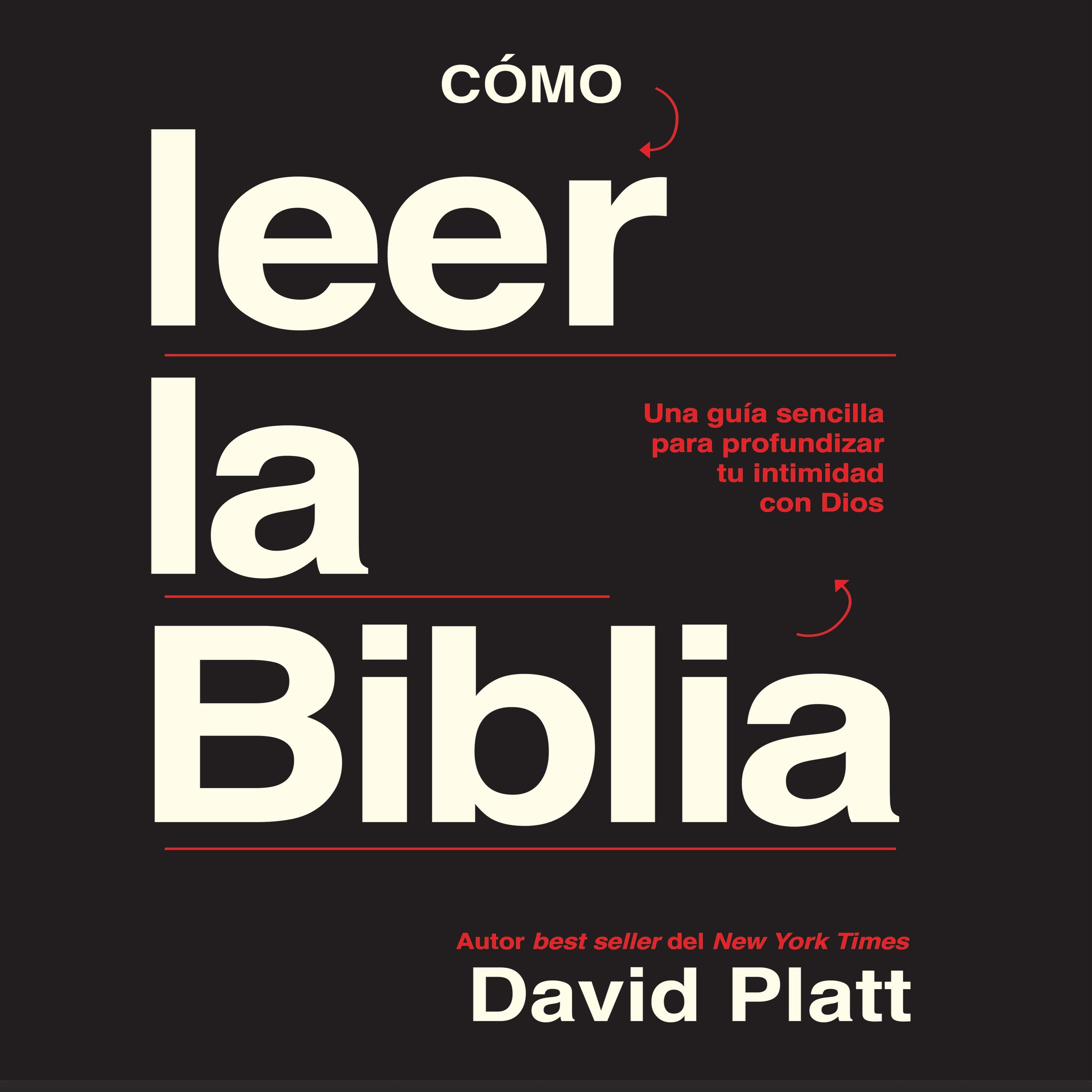 Cómo Leer la Biblia