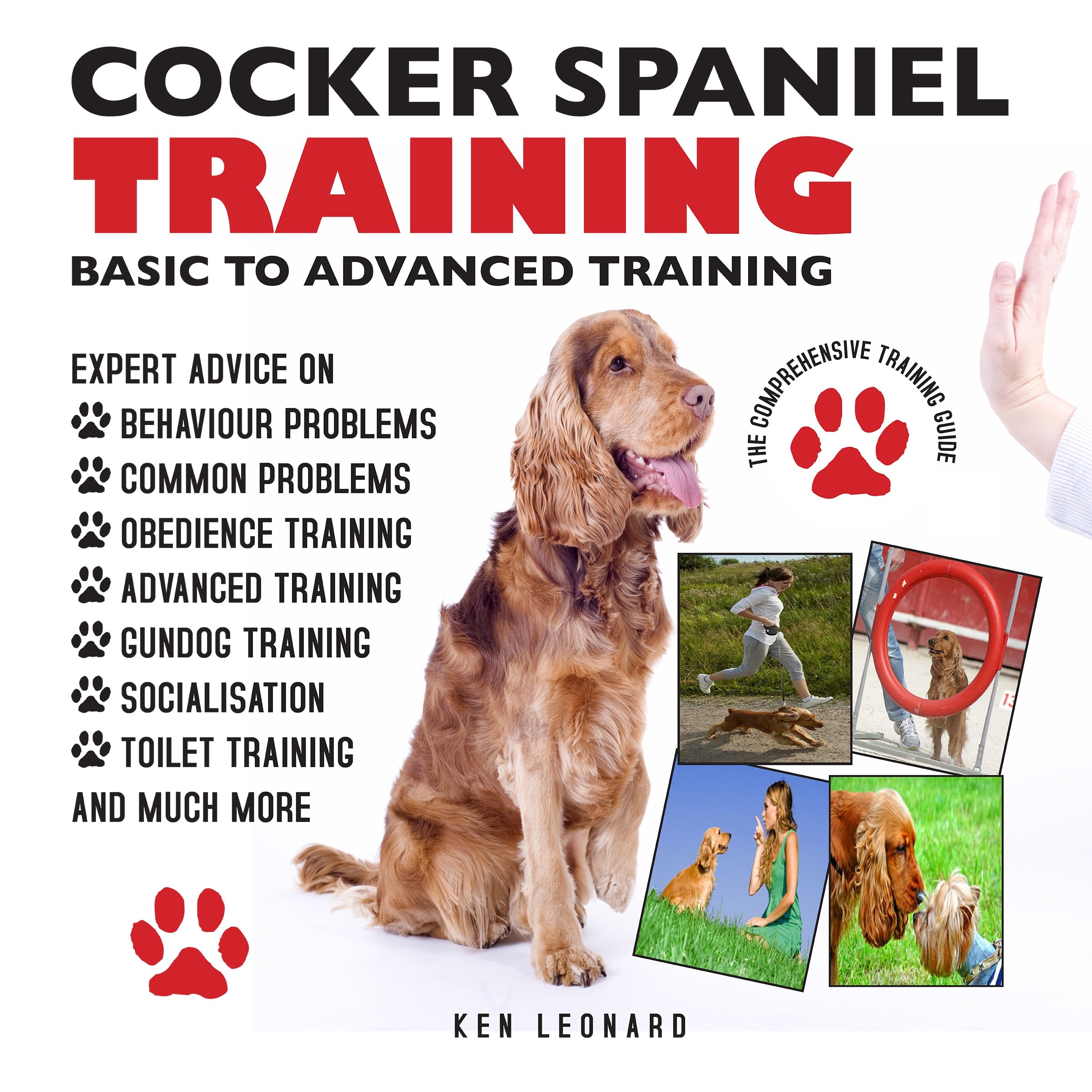 COCKER SPANIEL: