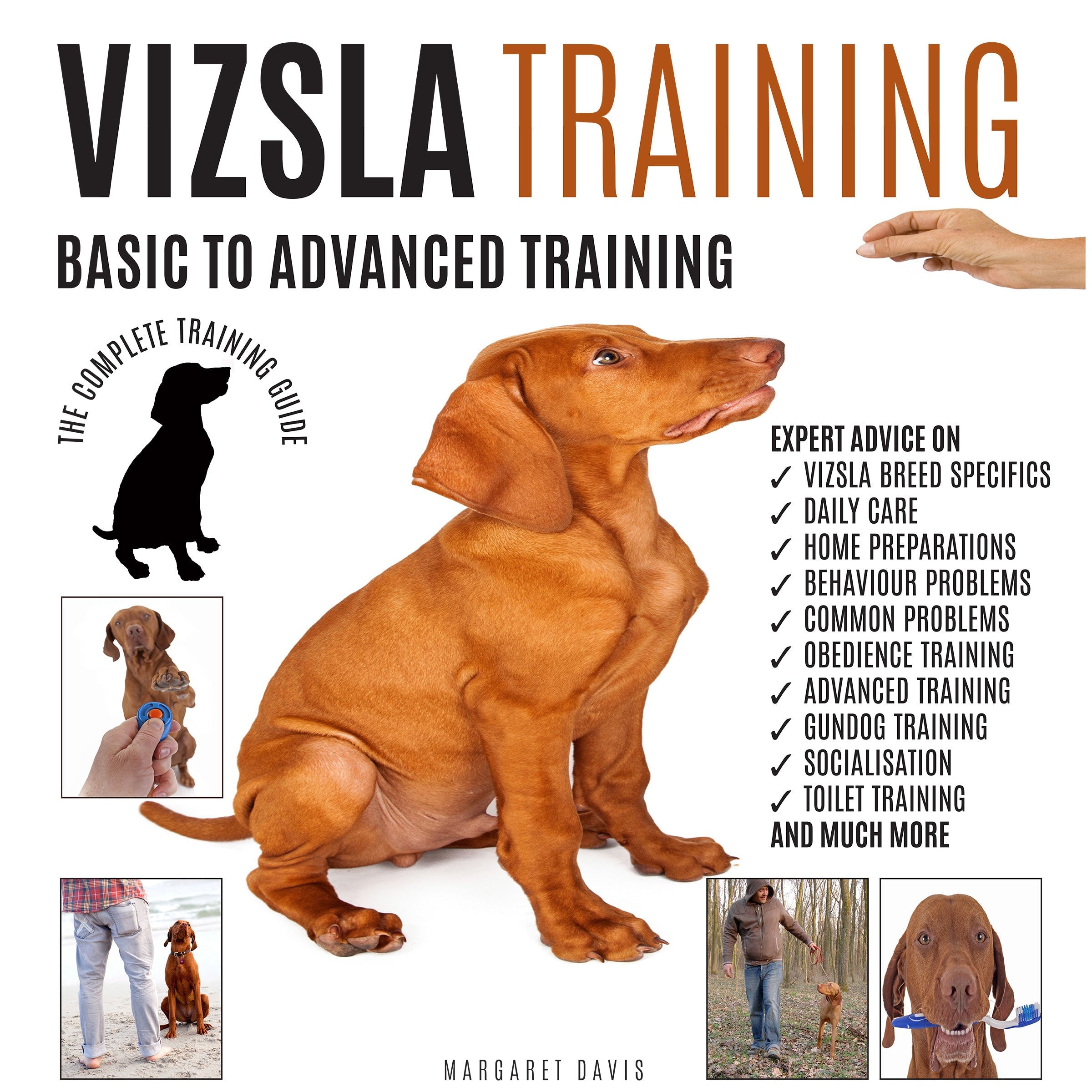 VIZSLA TRAINING: