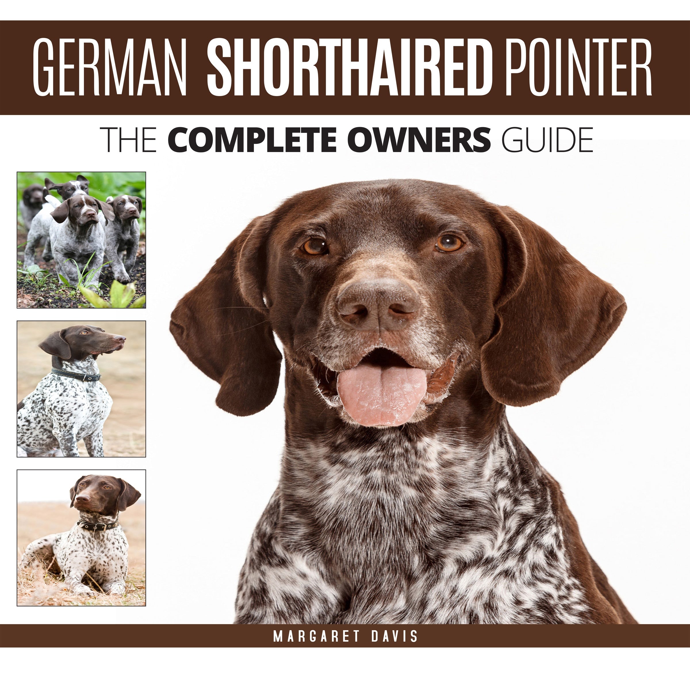 German Shorthaired Pointer