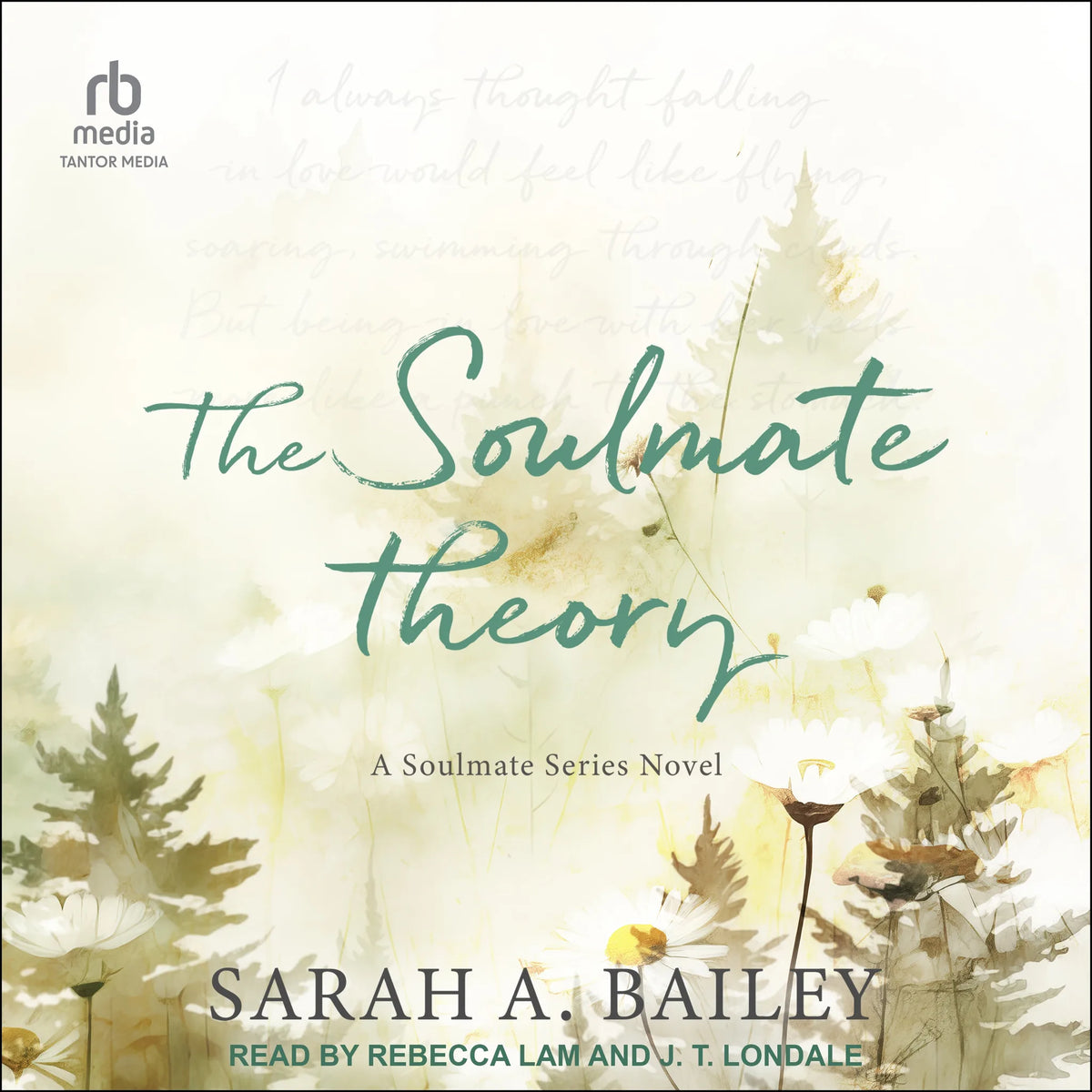 The Soulmate Theory