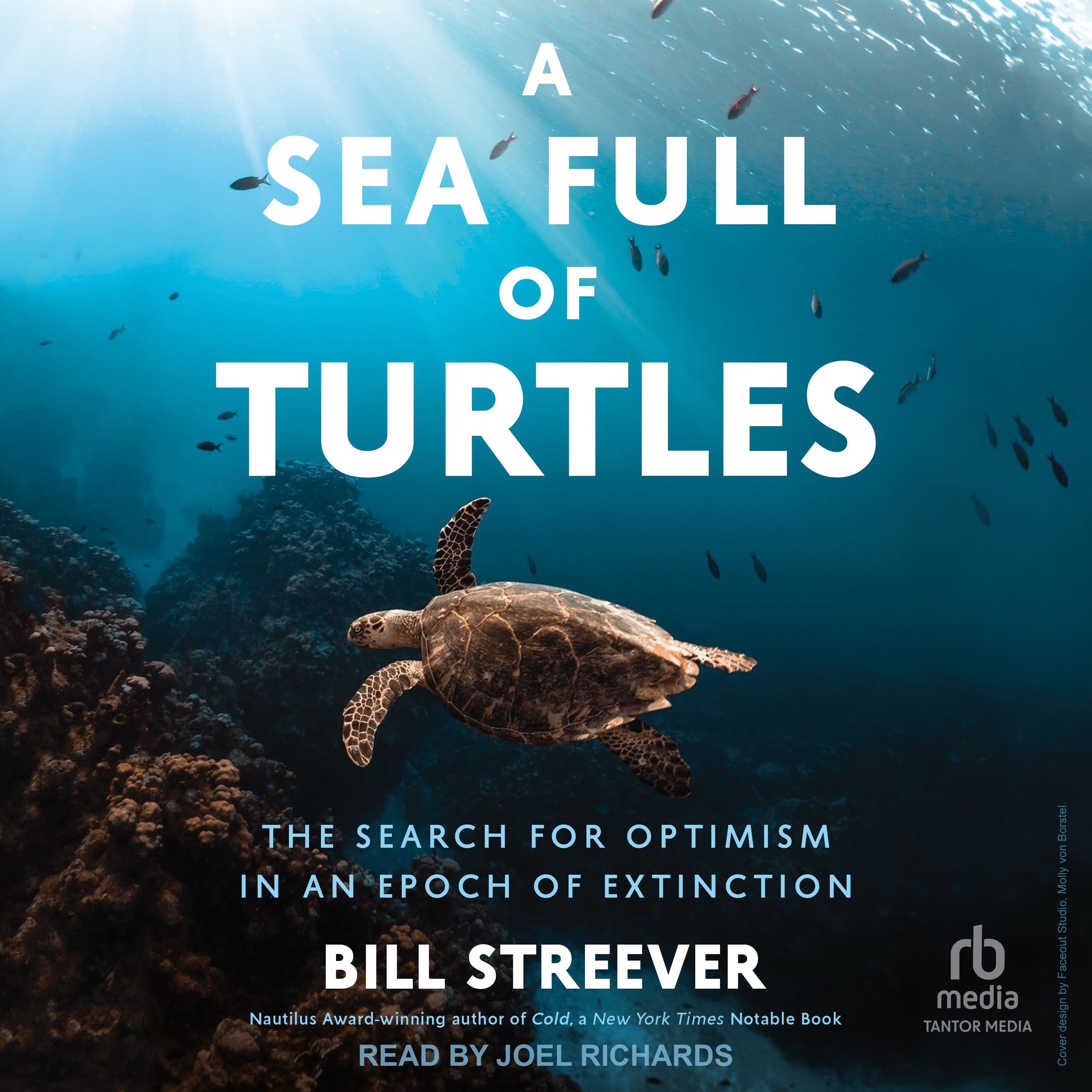 A Sea Full of Turtles