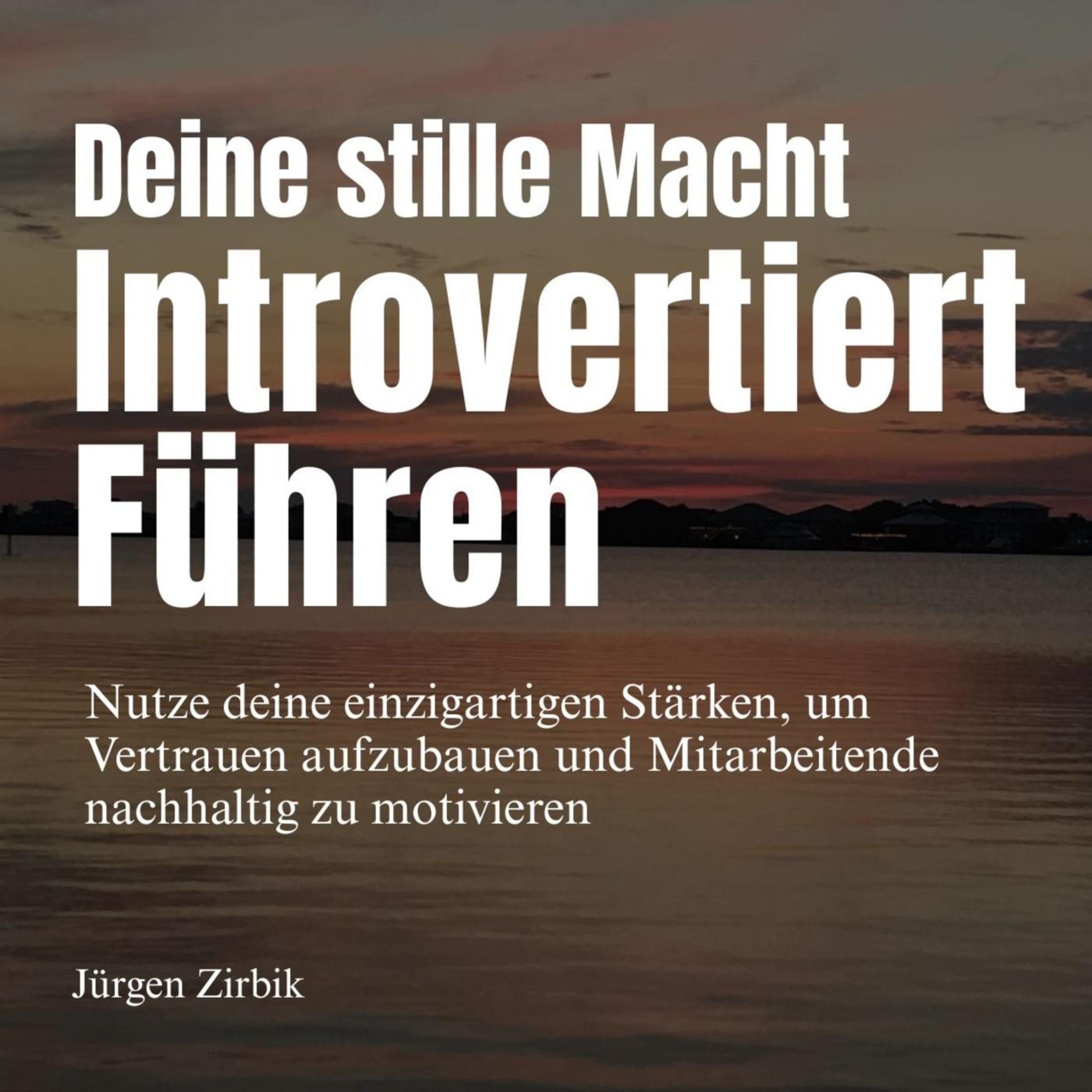 Deine stille Macht - Introvertiert führen