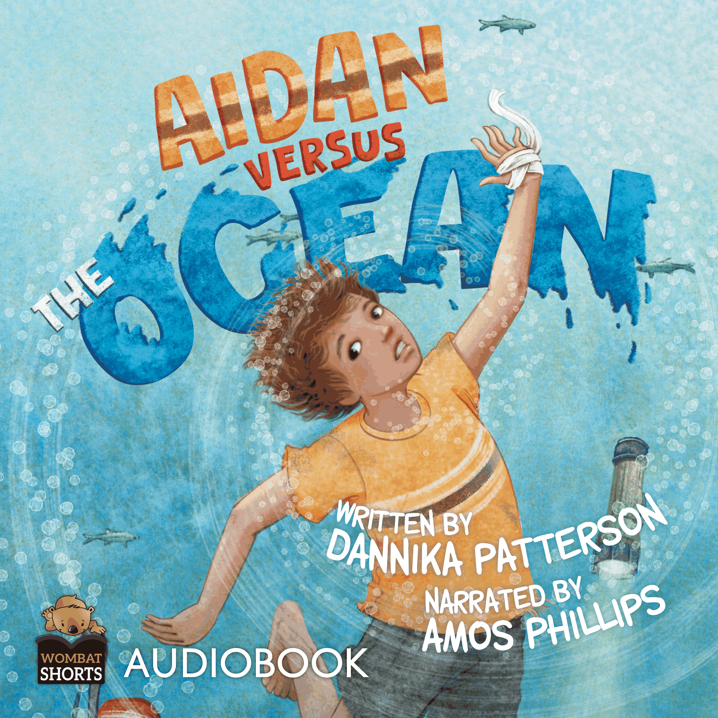 Aidan Versus The Ocean