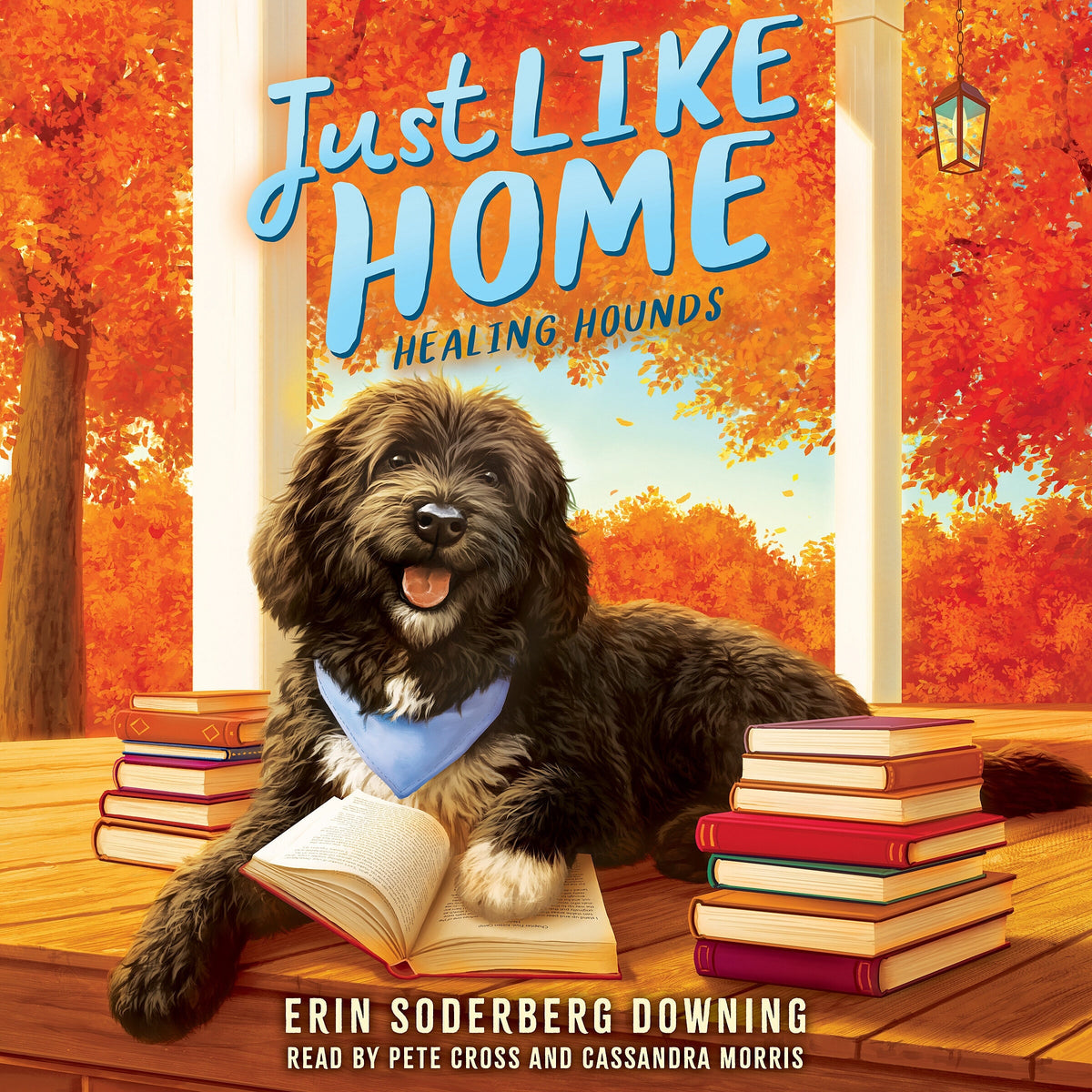 Healing Hounds (Just Like Home, Book Three)
