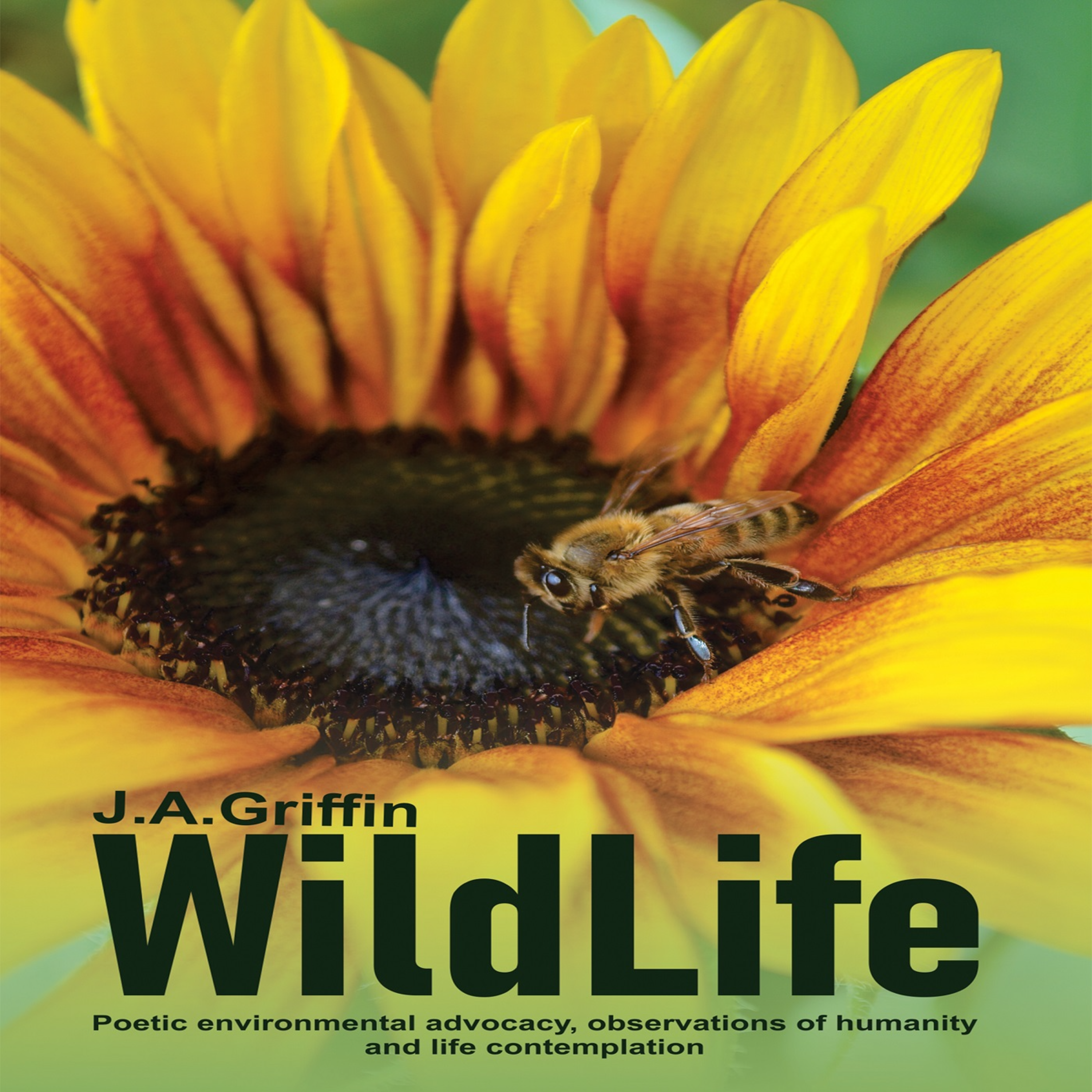 WildLife