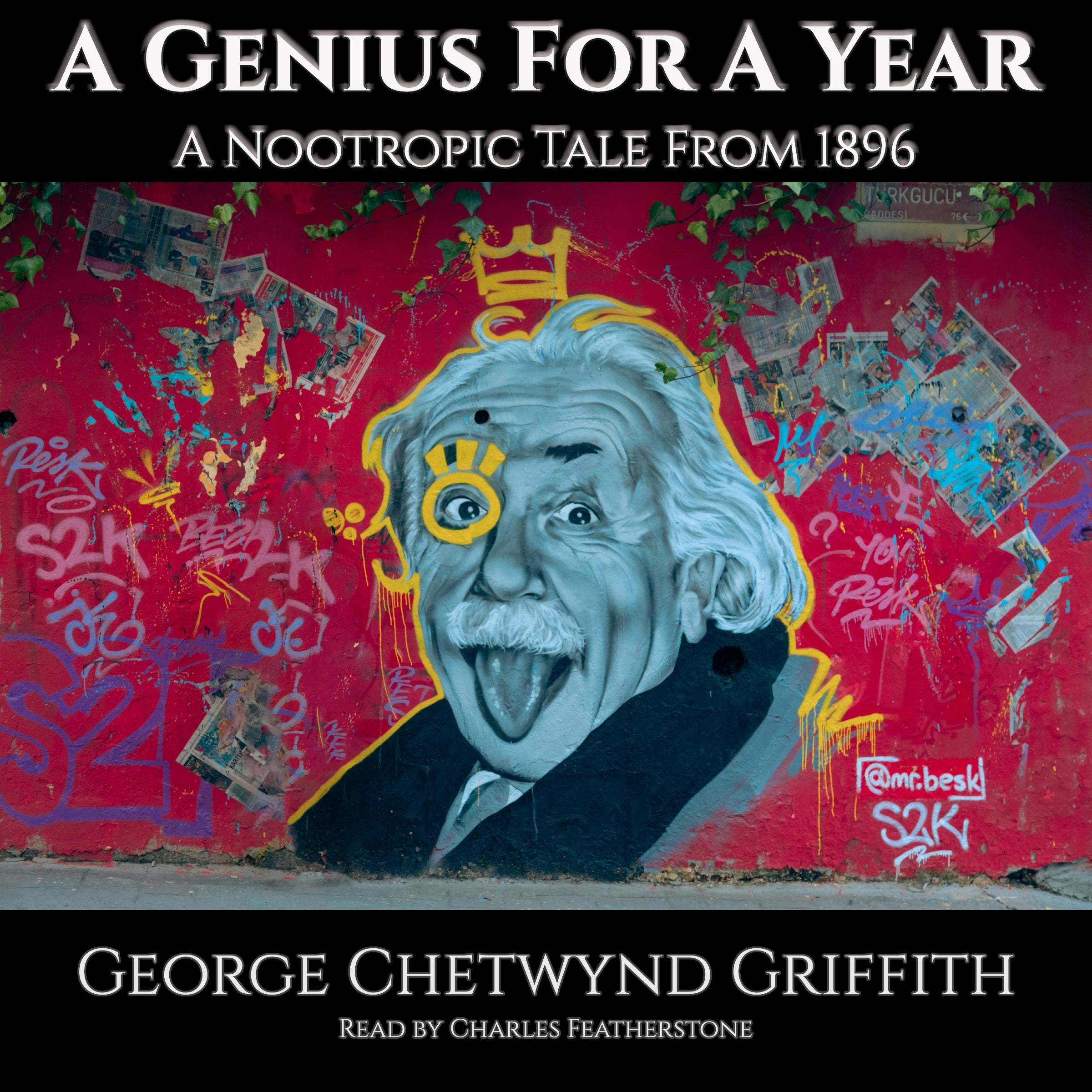 A Genius For A Year