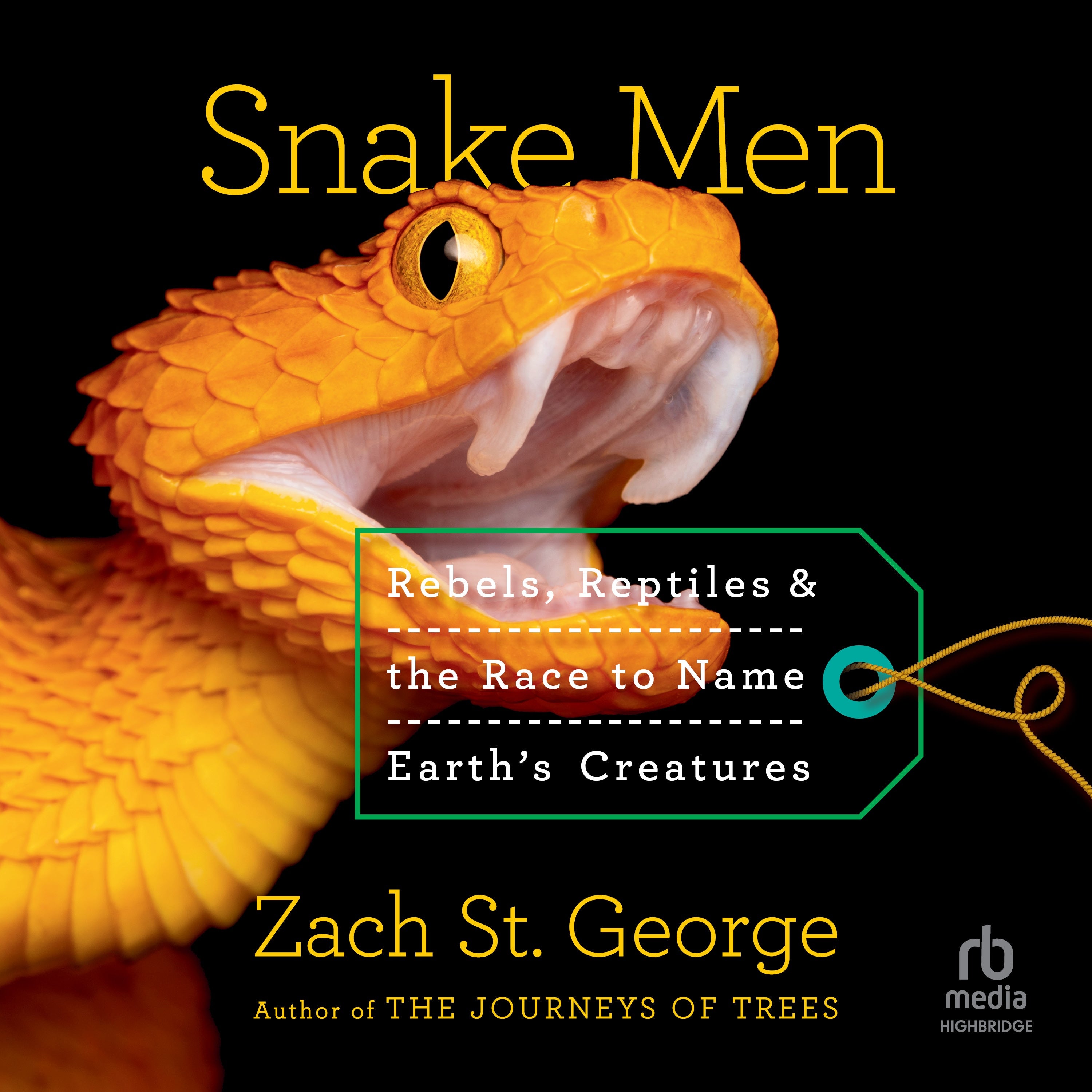 Snake Men