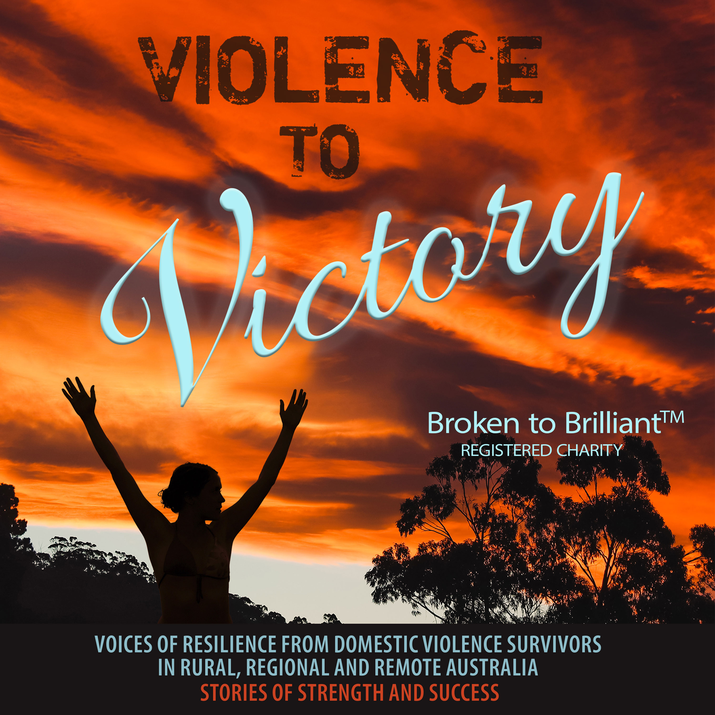 Violence to Victory