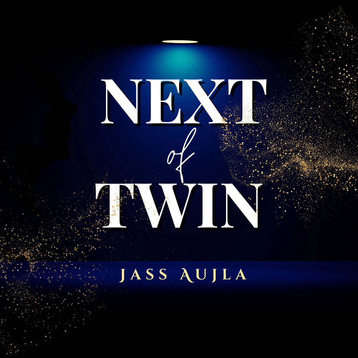 Next of Twin: A Novel