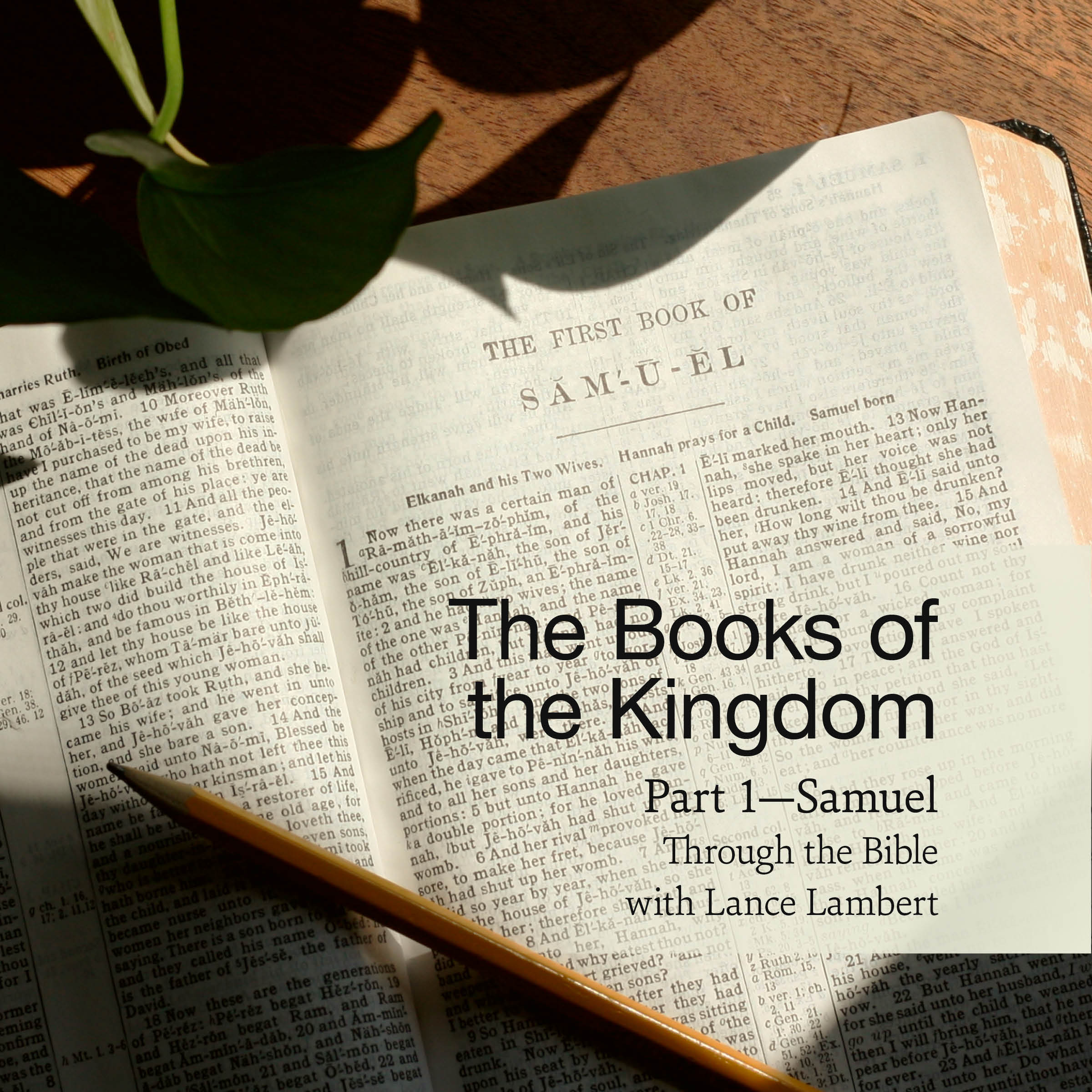 The Books of the Kingdom: Part 1 - Samuel