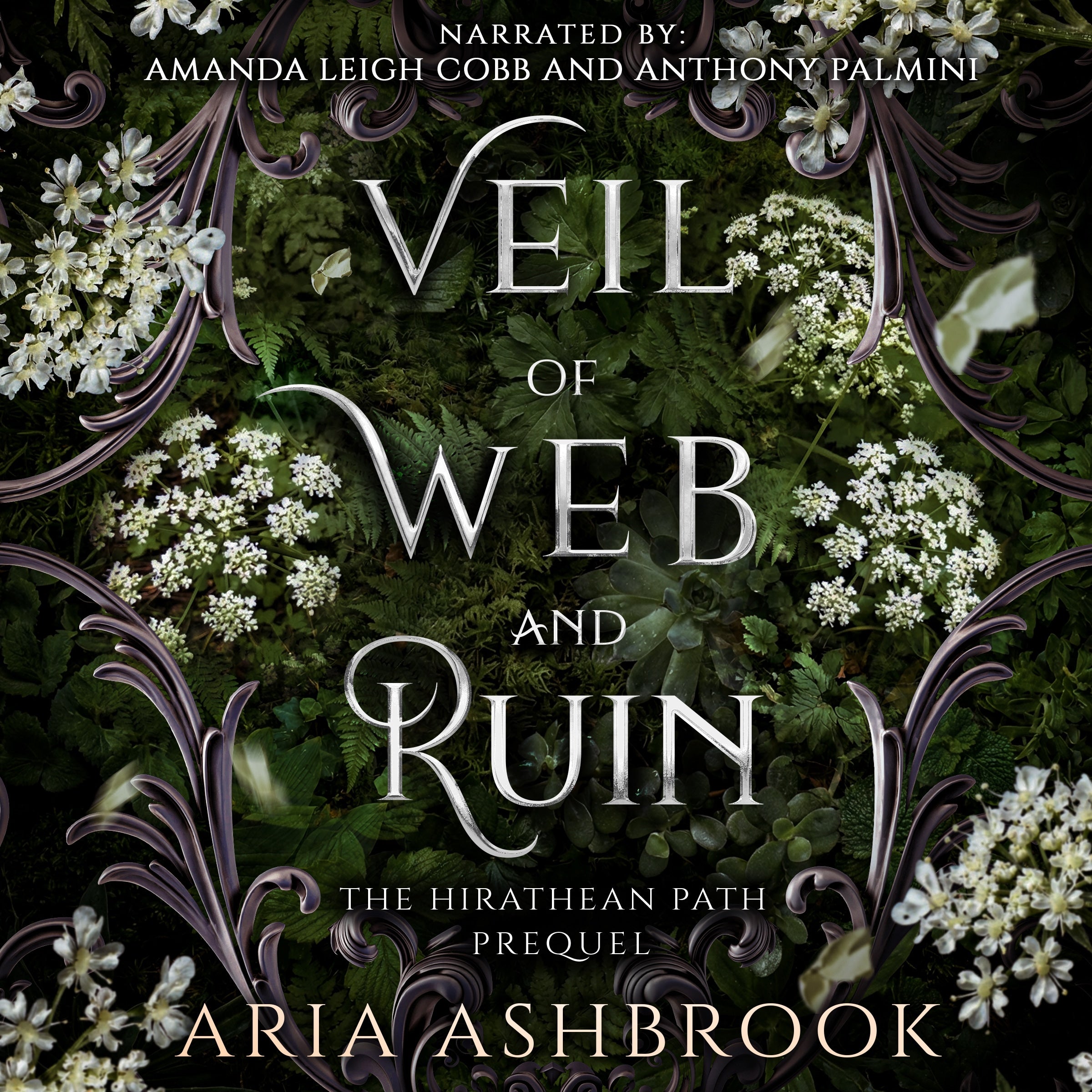 Veil of Web and Ruin