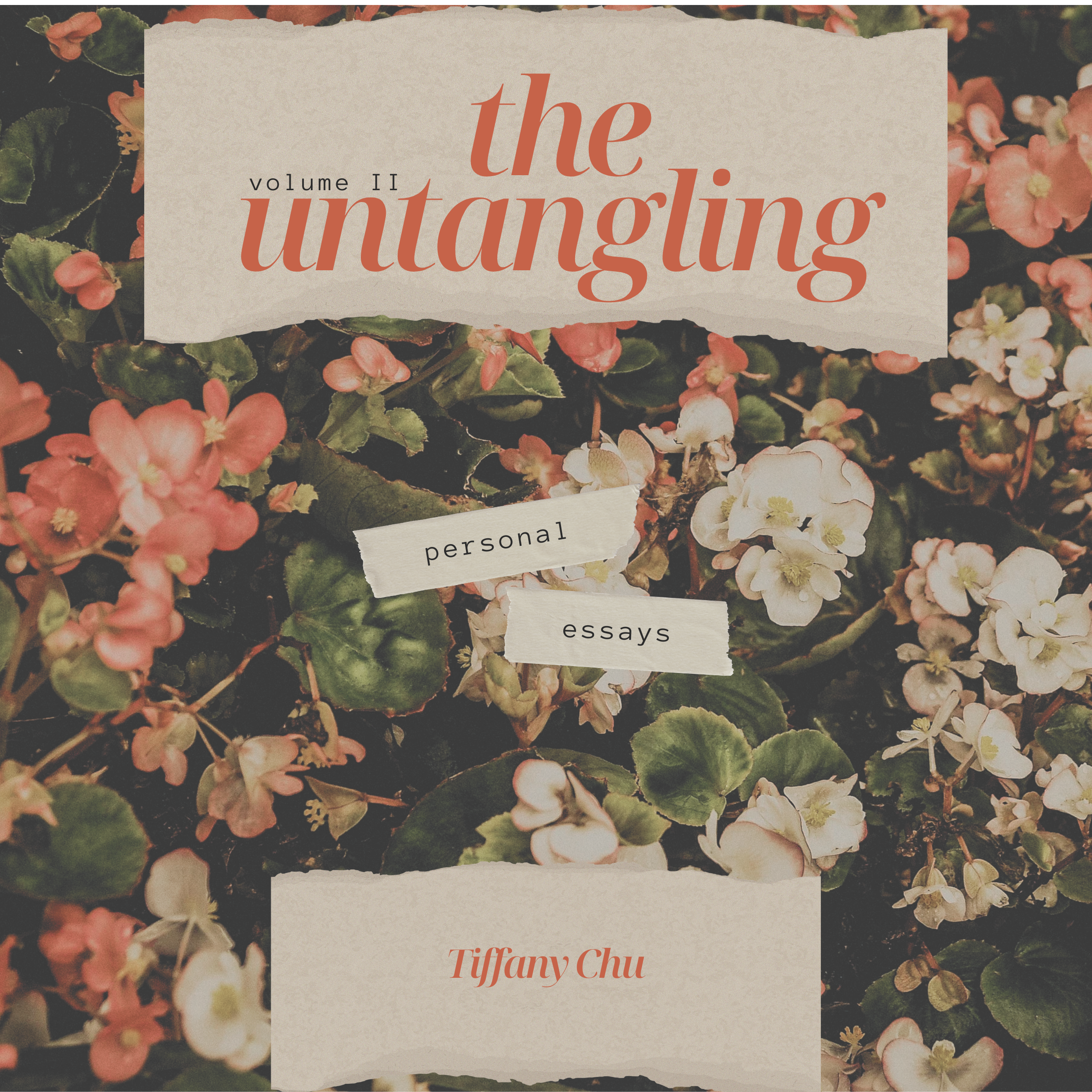 The Untangling: Volume 2