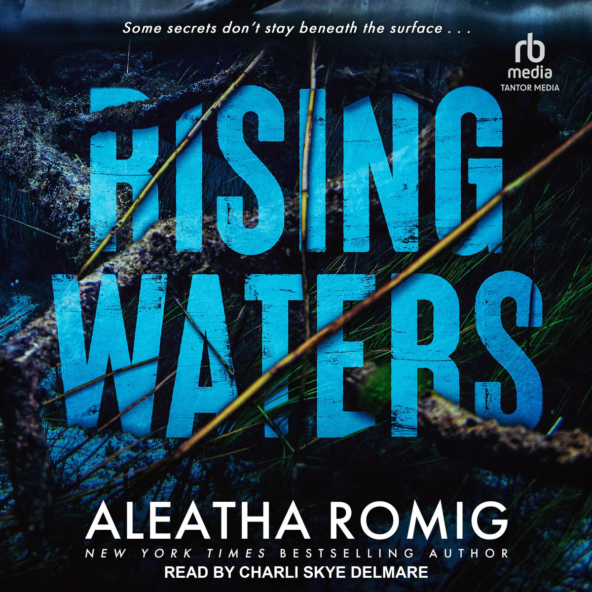RISING WATERS