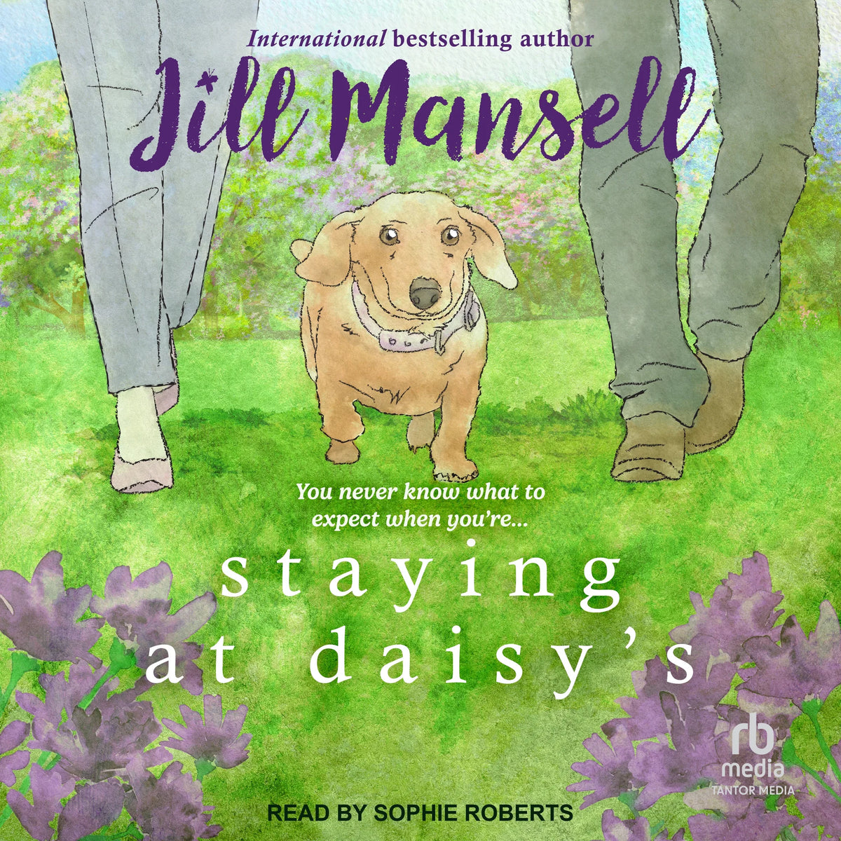 Staying at Daisy's