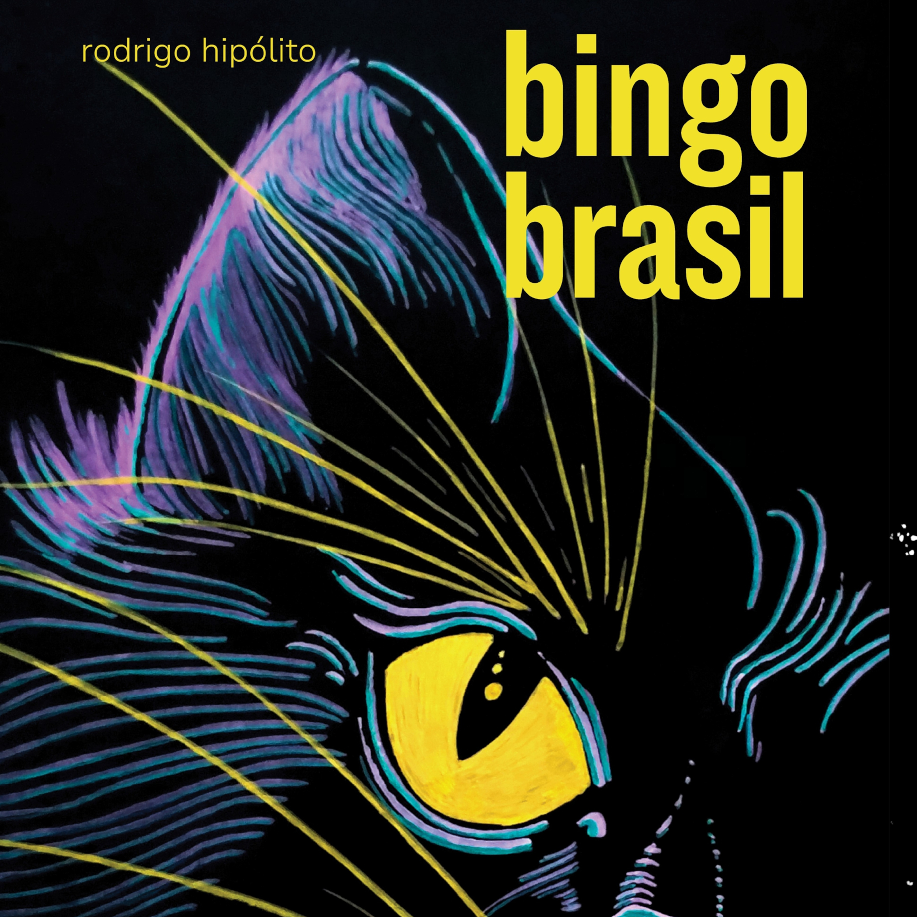 Bingo Brasil