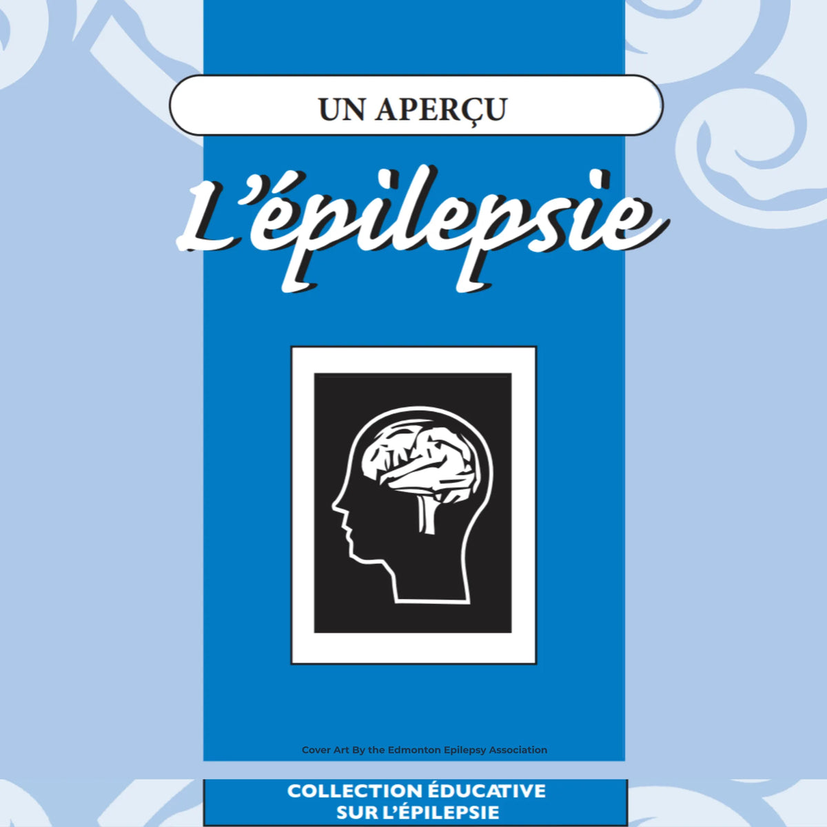 Épilepsie Un Aperçu