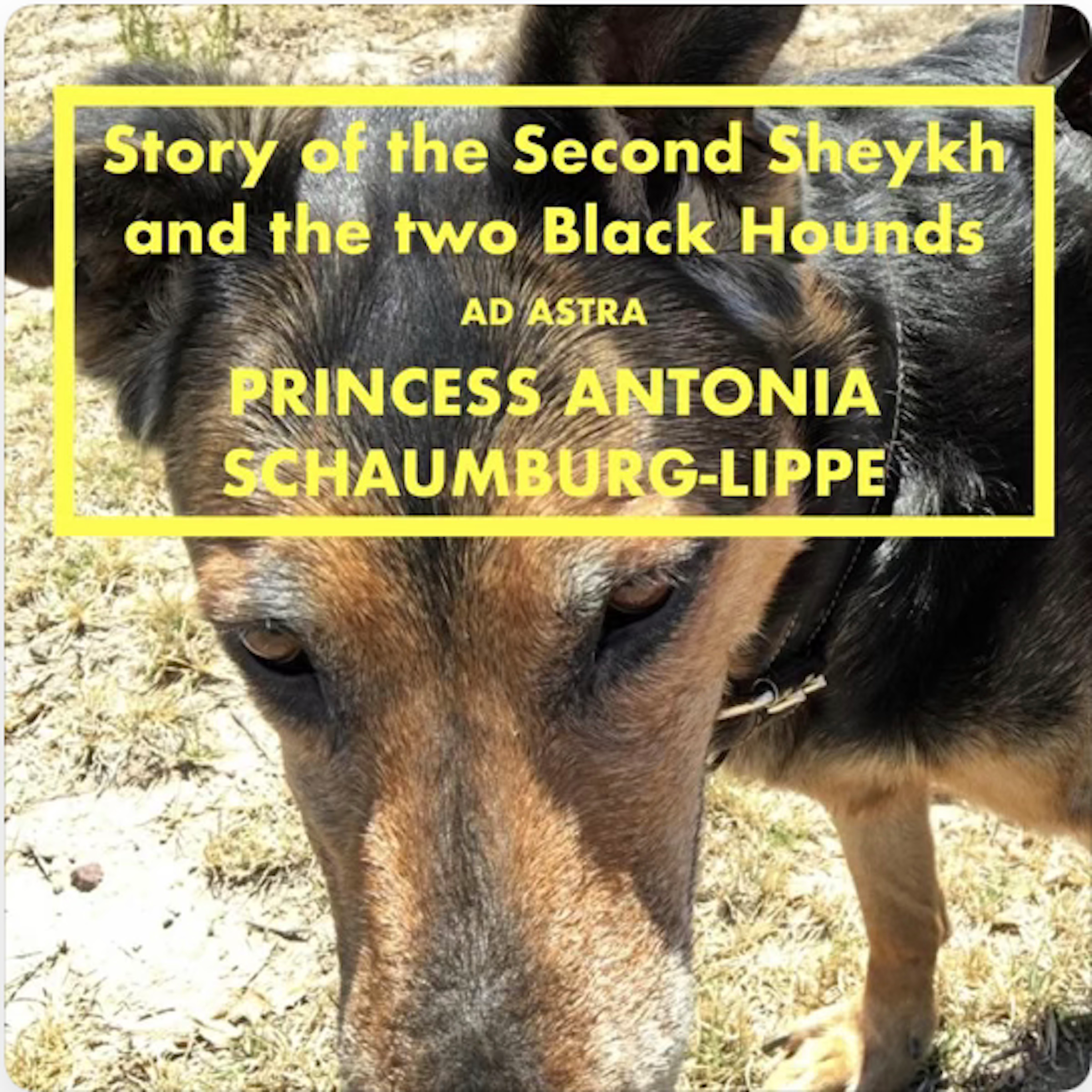 Story of the Second Sheykh and the two Black Hounds