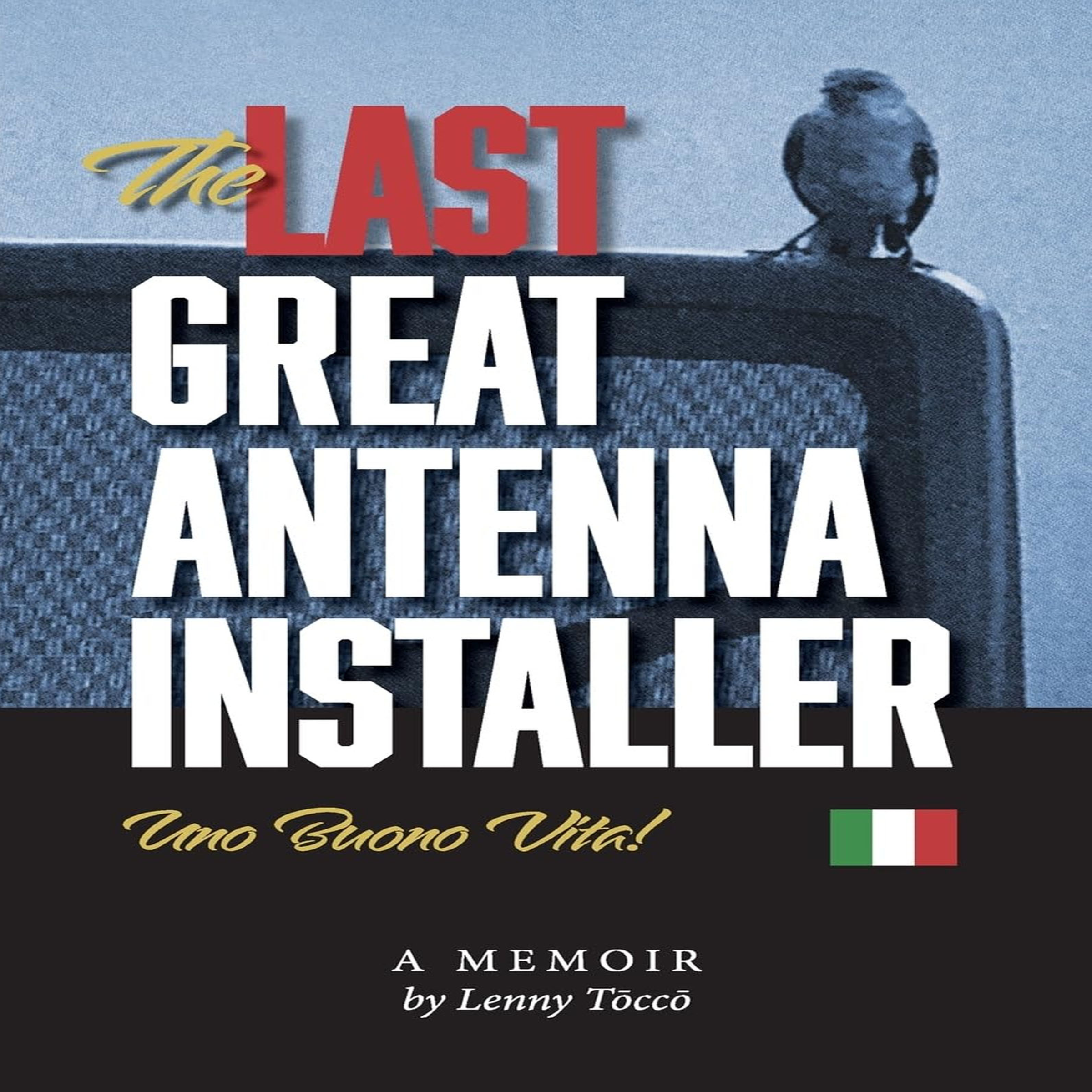 THE LAST GREAT ANTENNA INSATLLER
