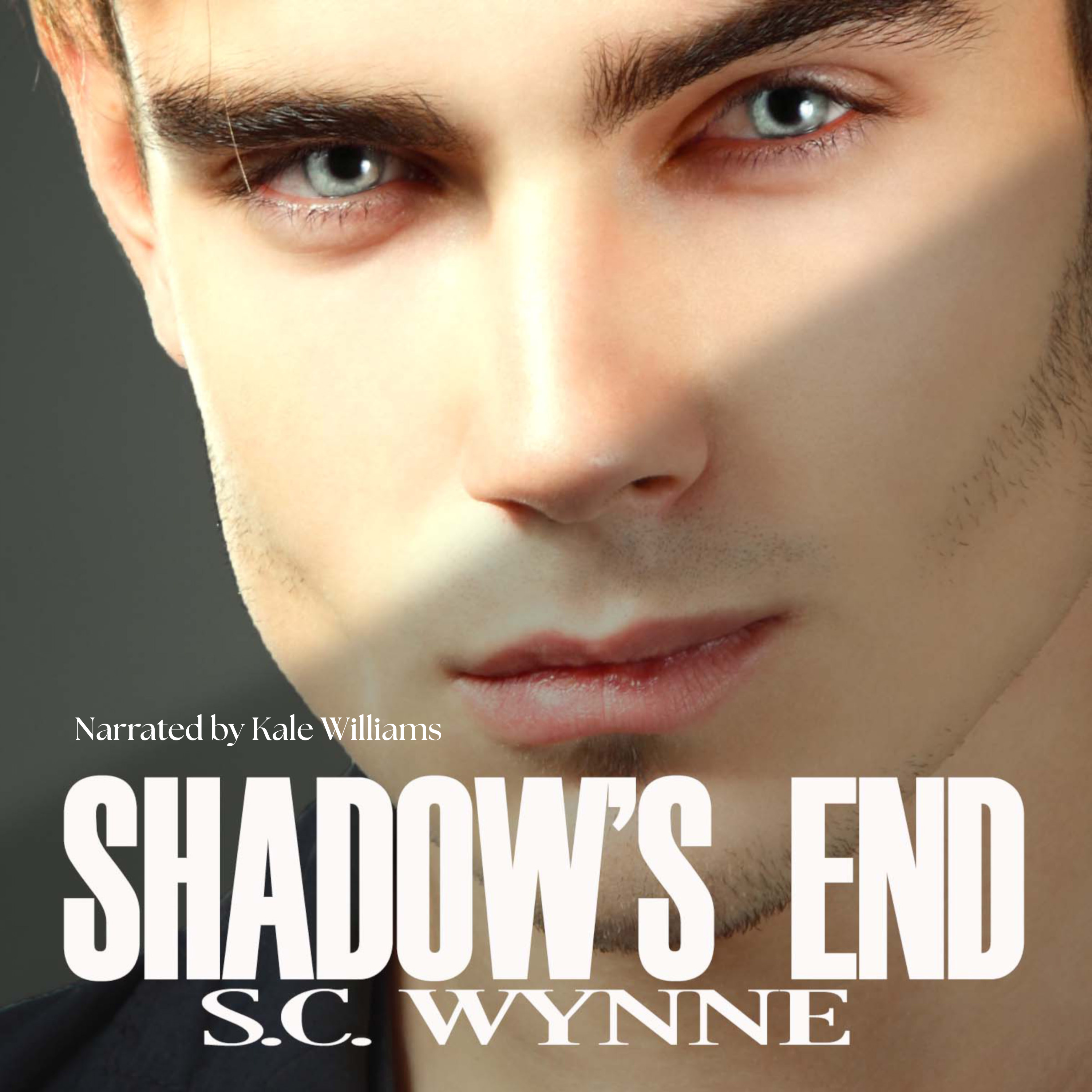Shadow's End