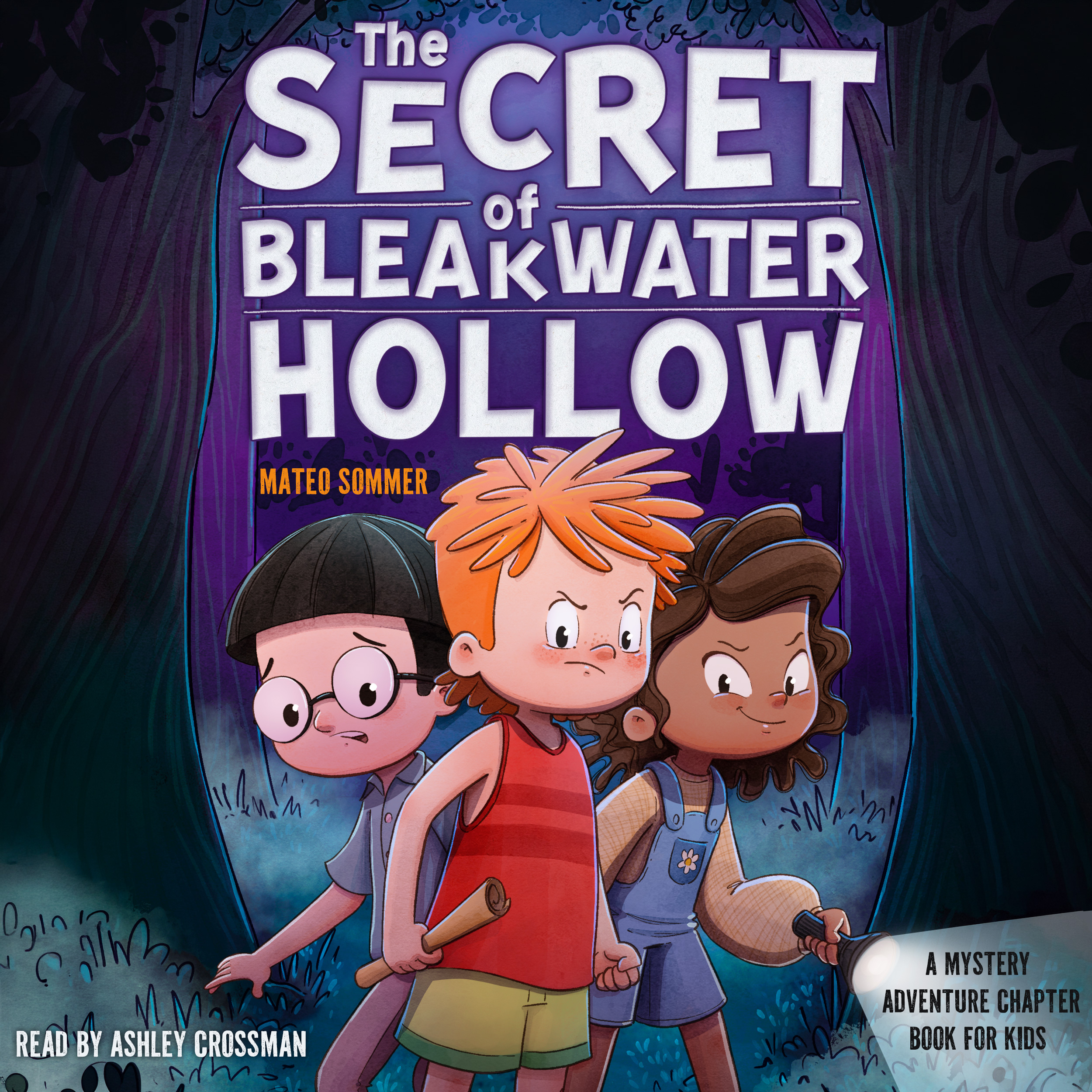The Secret of Bleakwater Hollow