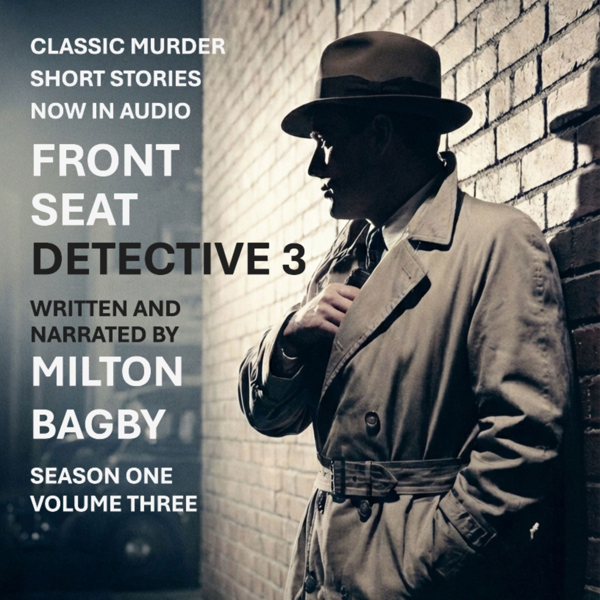 Front Seat Detective 3