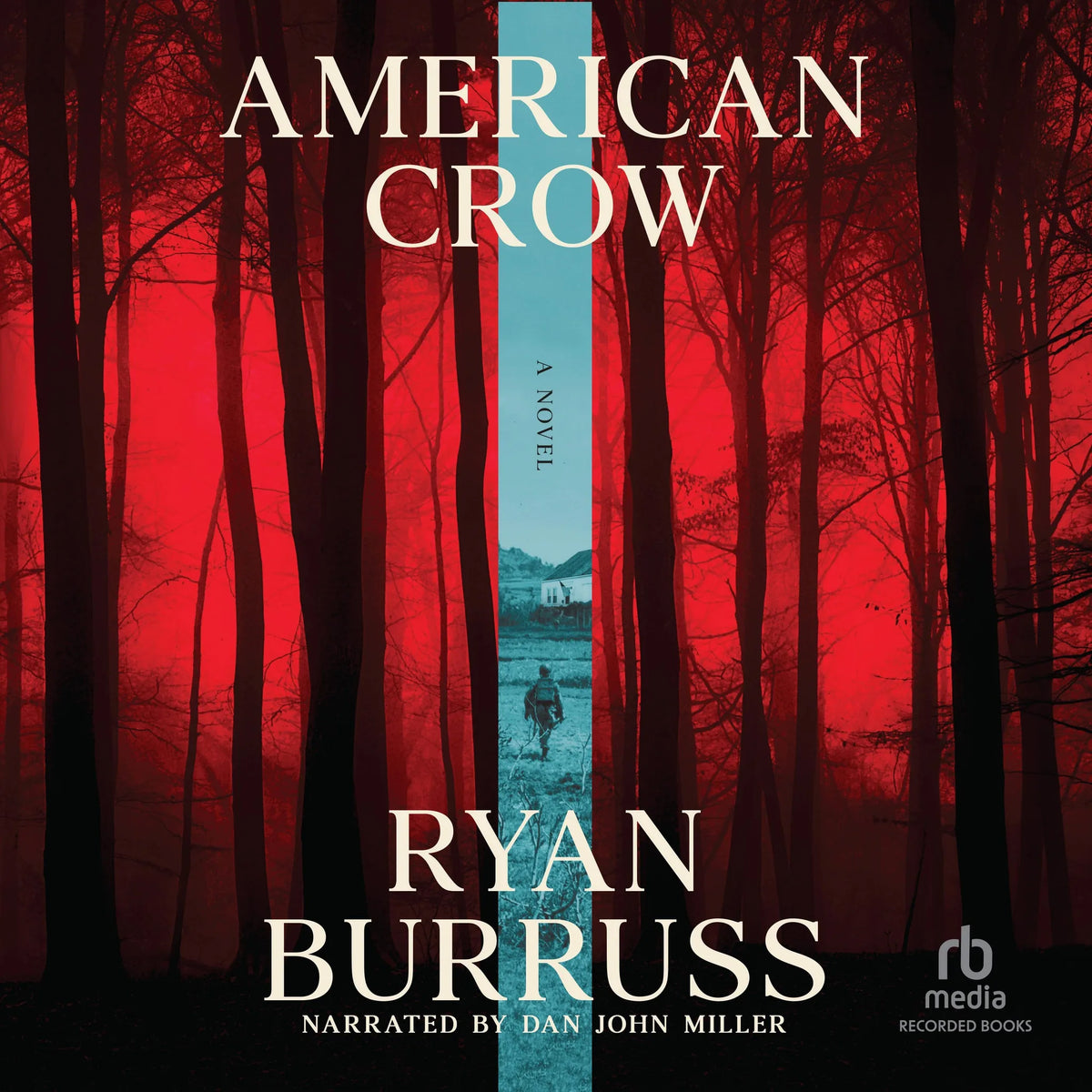 American Crow