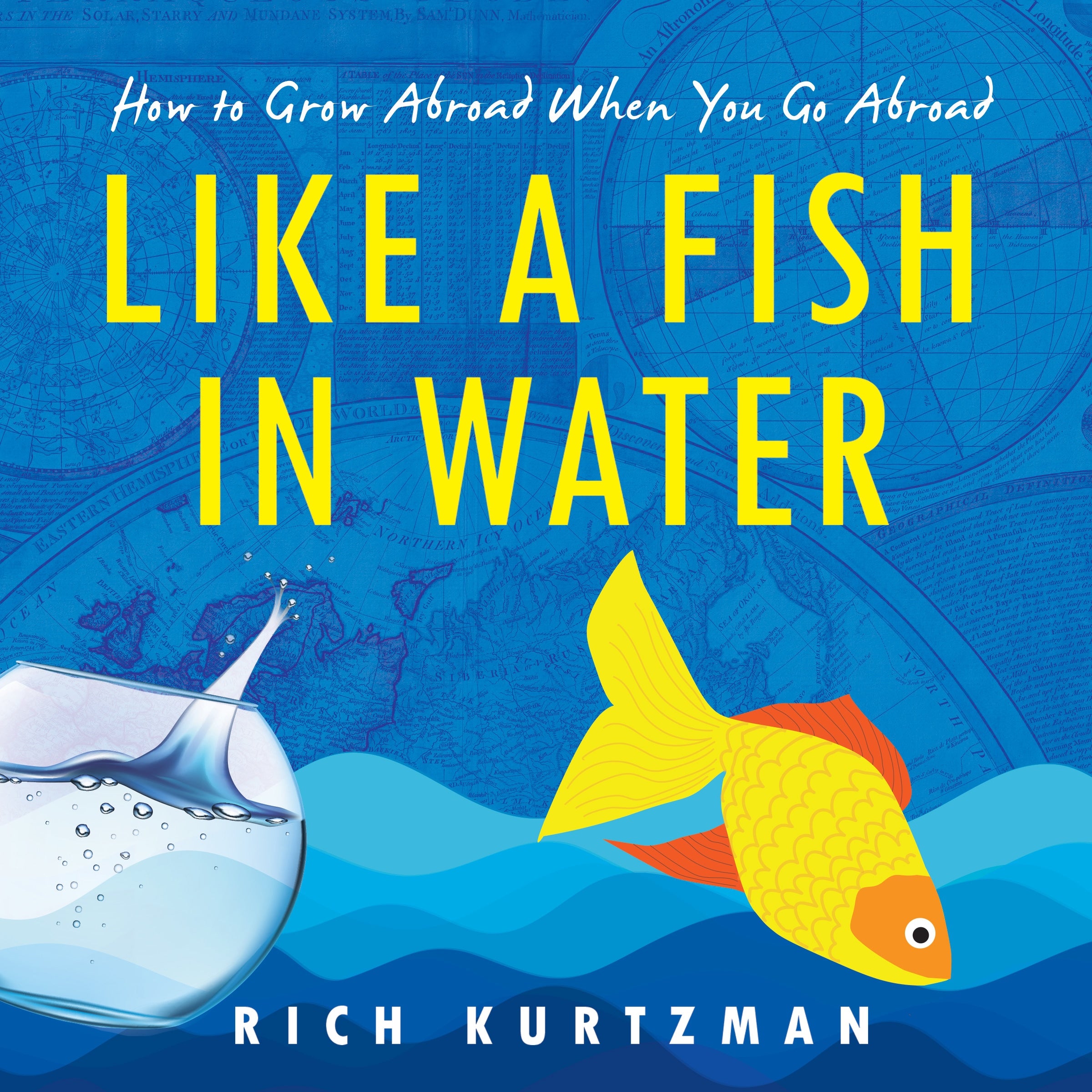 Like A Fish In Water