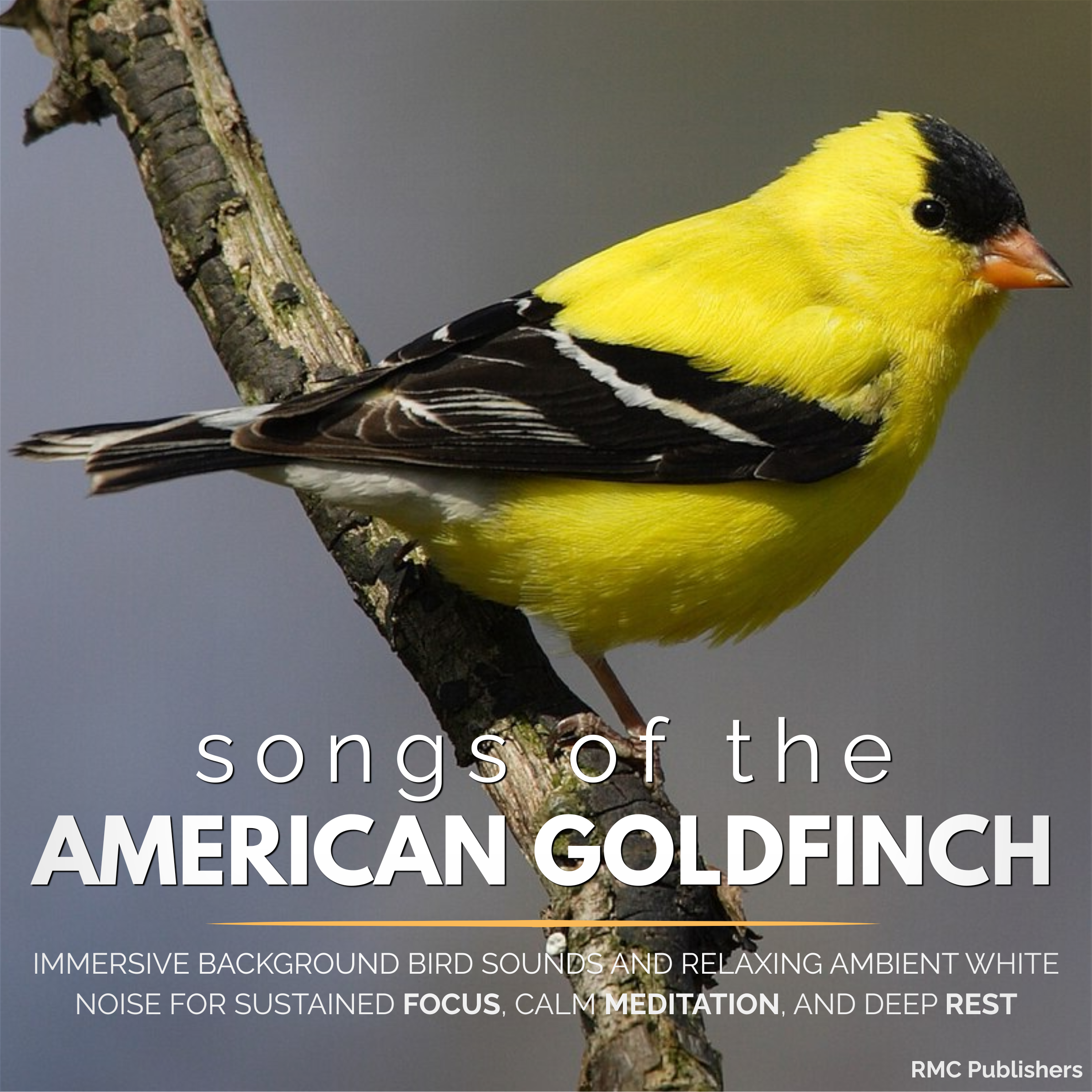 Songs of the American Goldfinch