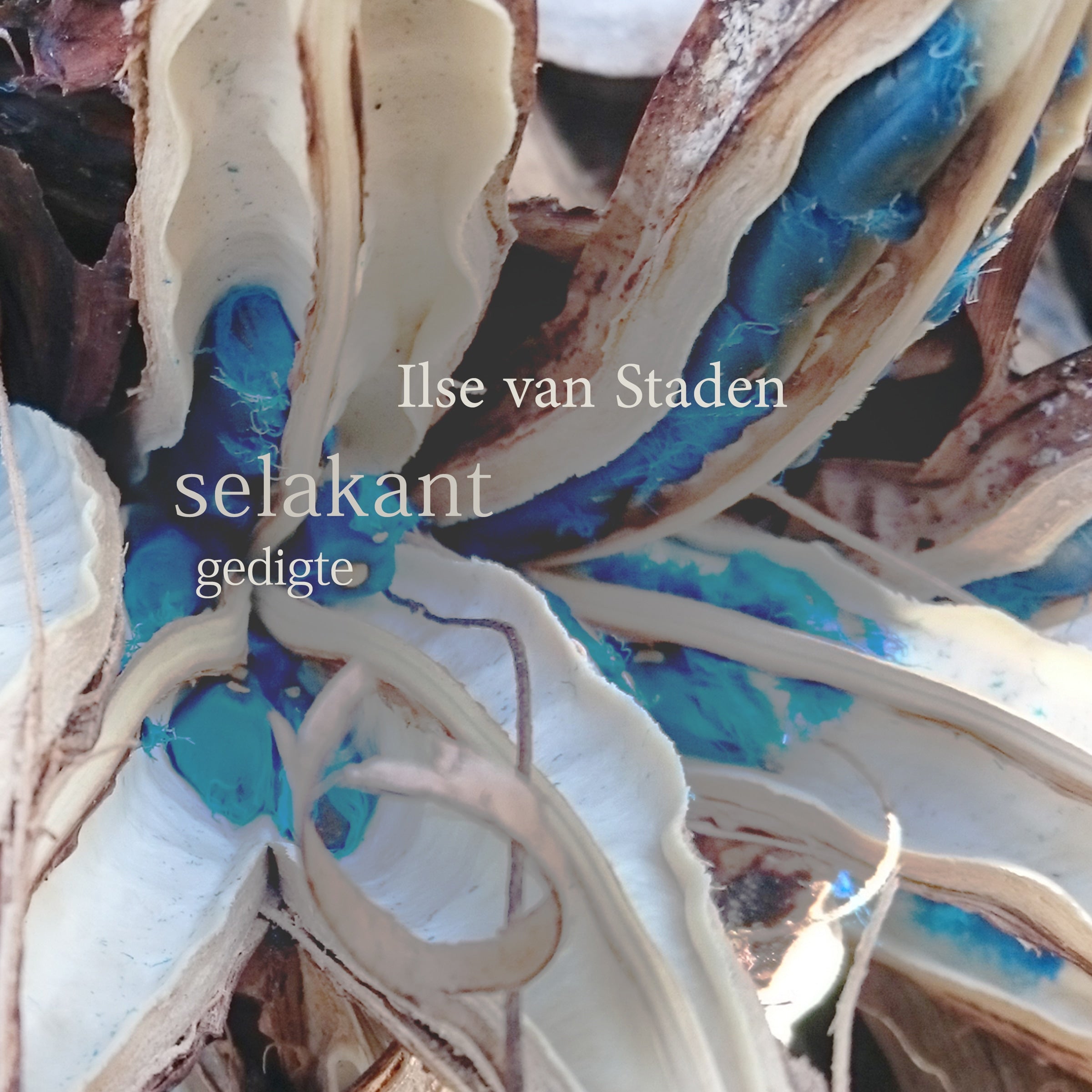 selakant