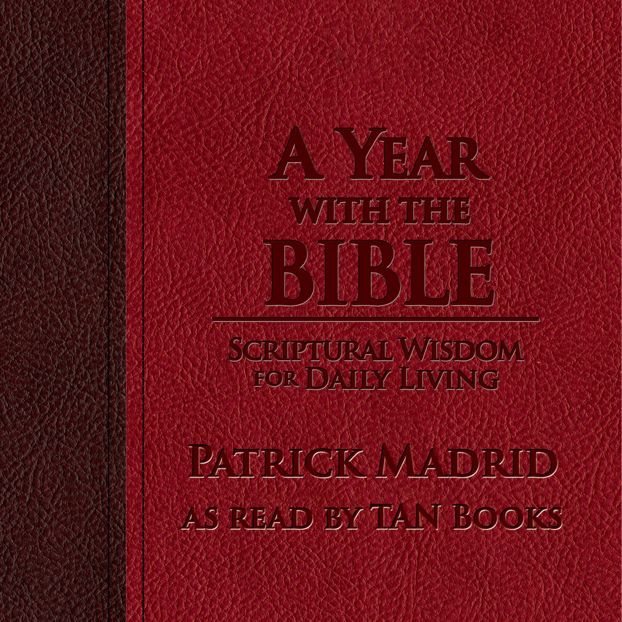 A Year with the Bible