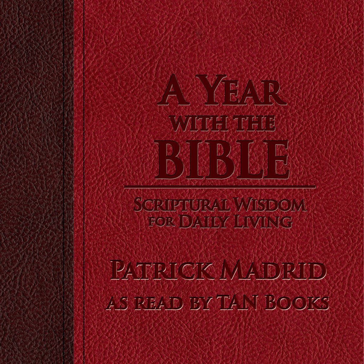 A Year with the Bible